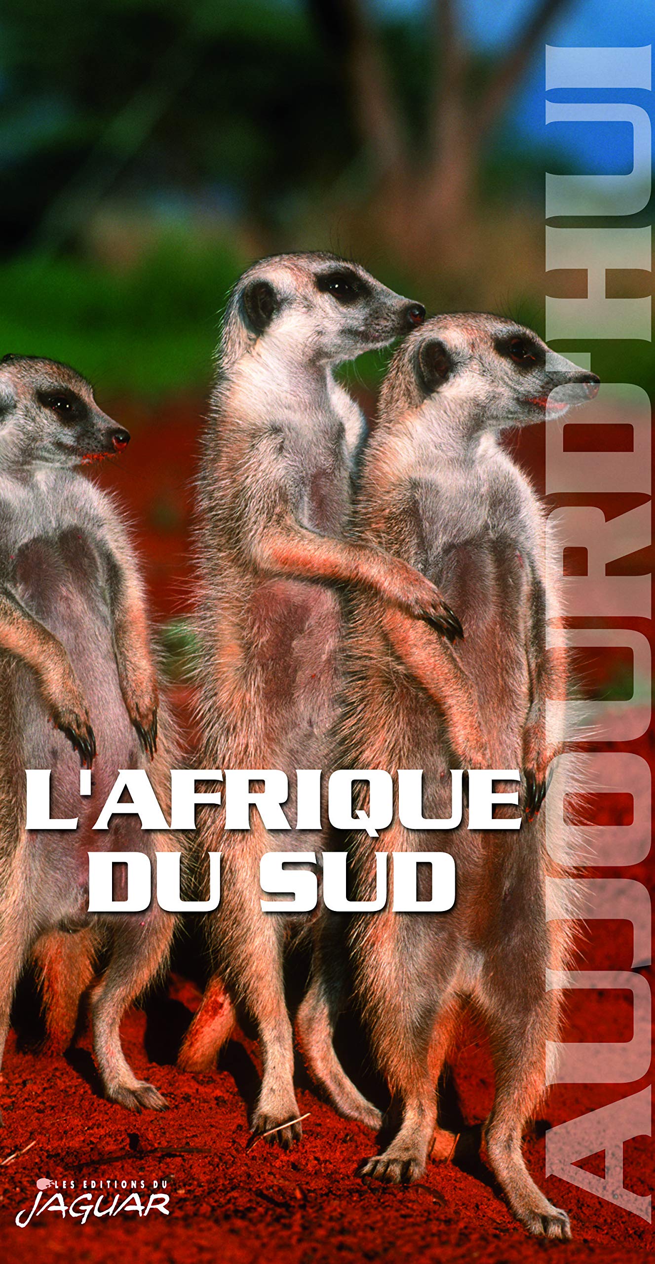 L'AFRIQUE DU SUD AUJOURD'HUI 9782869504233