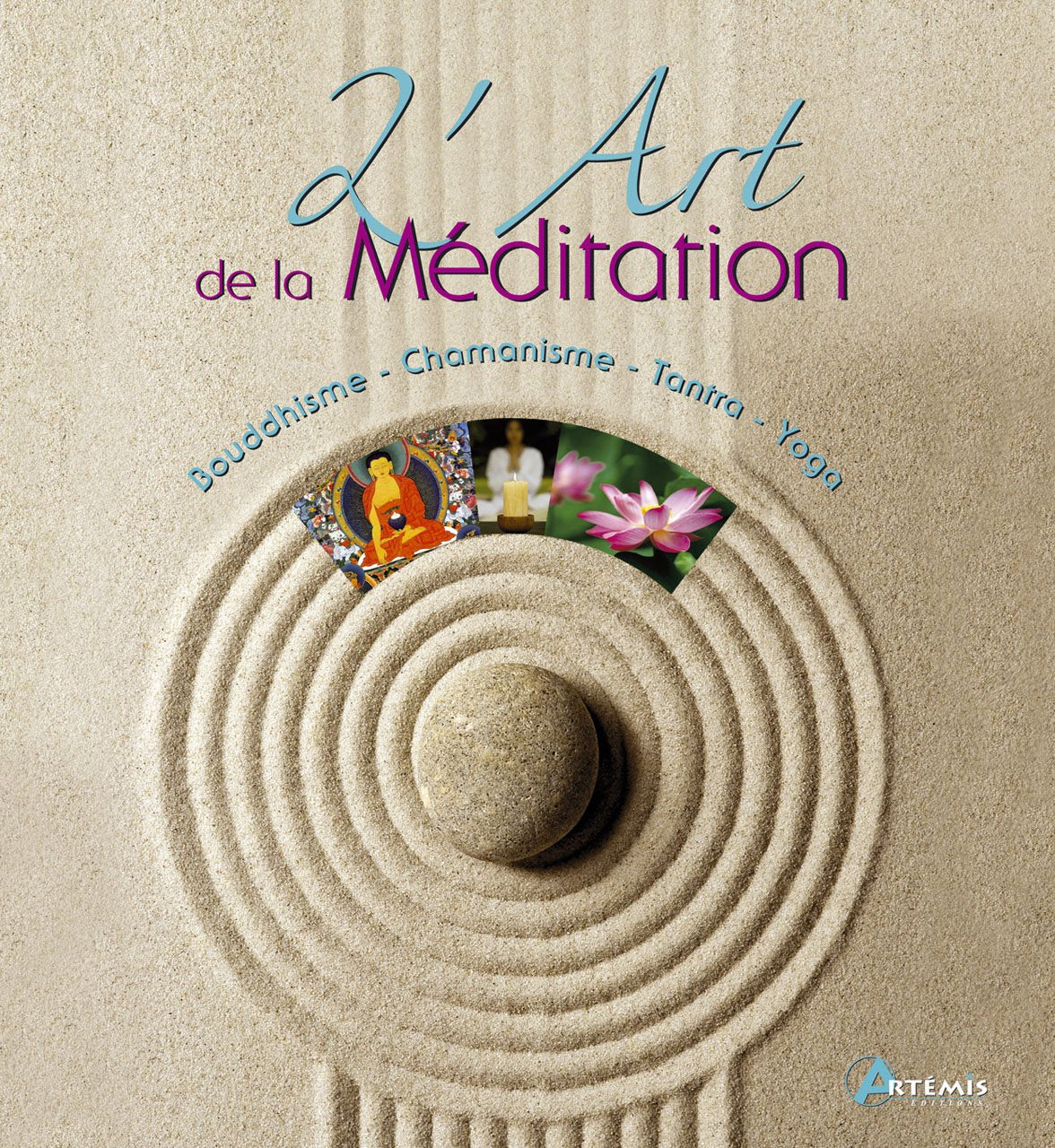 L ART DE LA MEDITATION 9782844168313