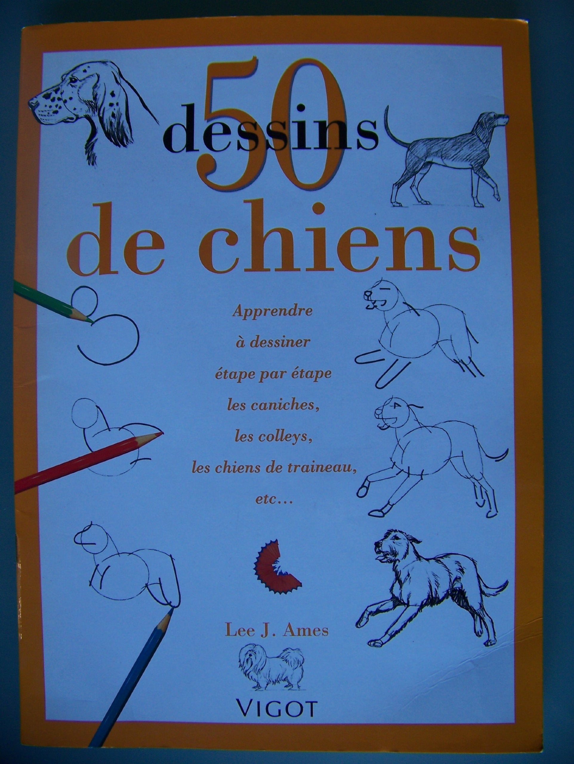 50 dessins de chiens 9782711412266