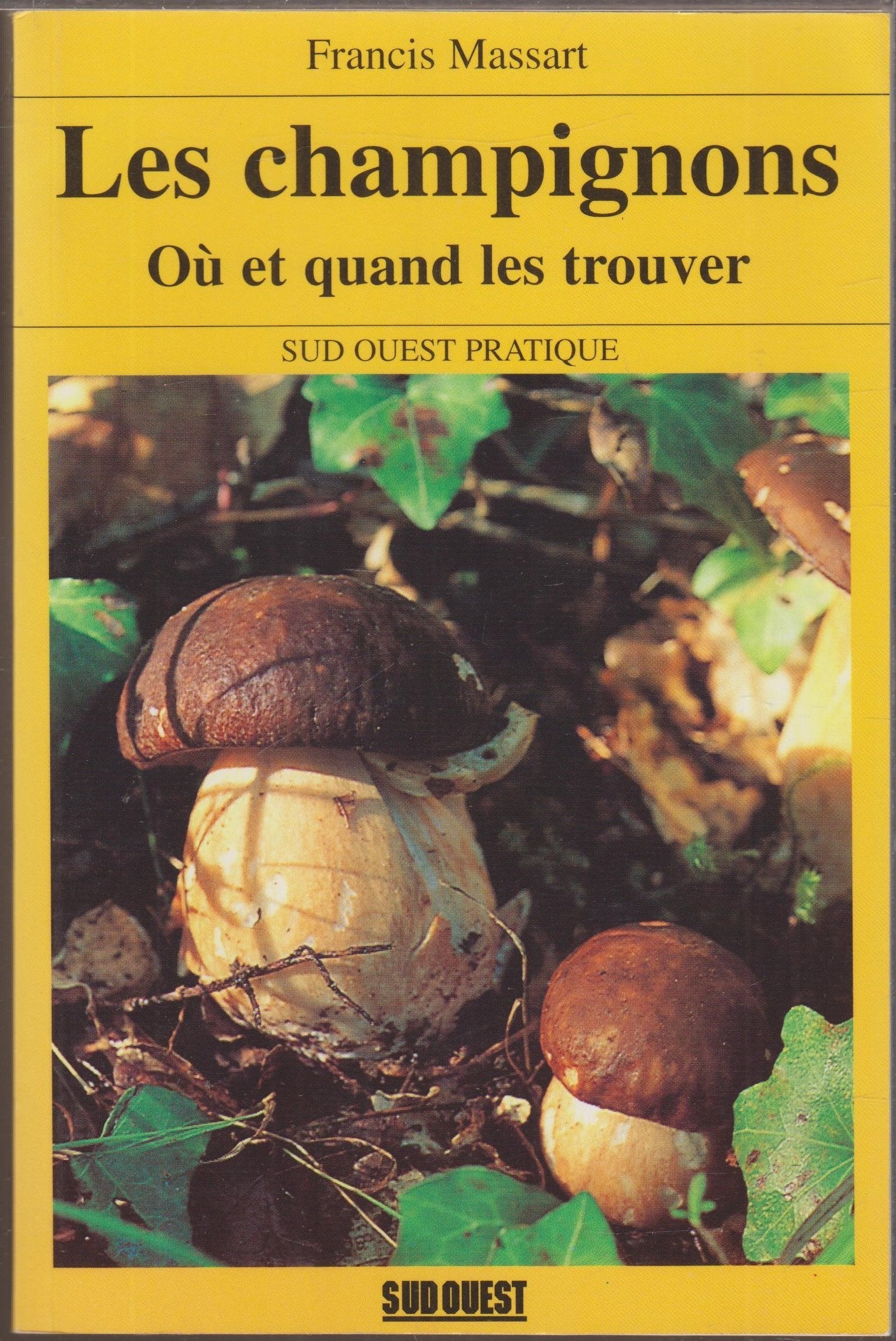 Les champignons : où et quand les trouver ? 9782879011998