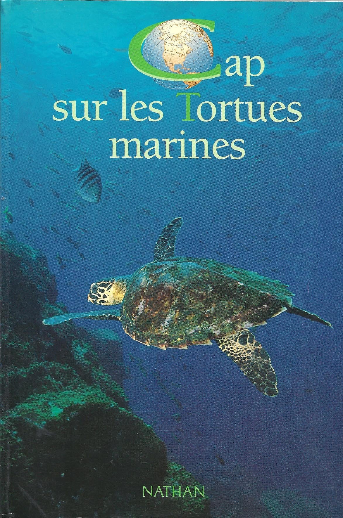 Cap sur les tortues marines 9782092608753
