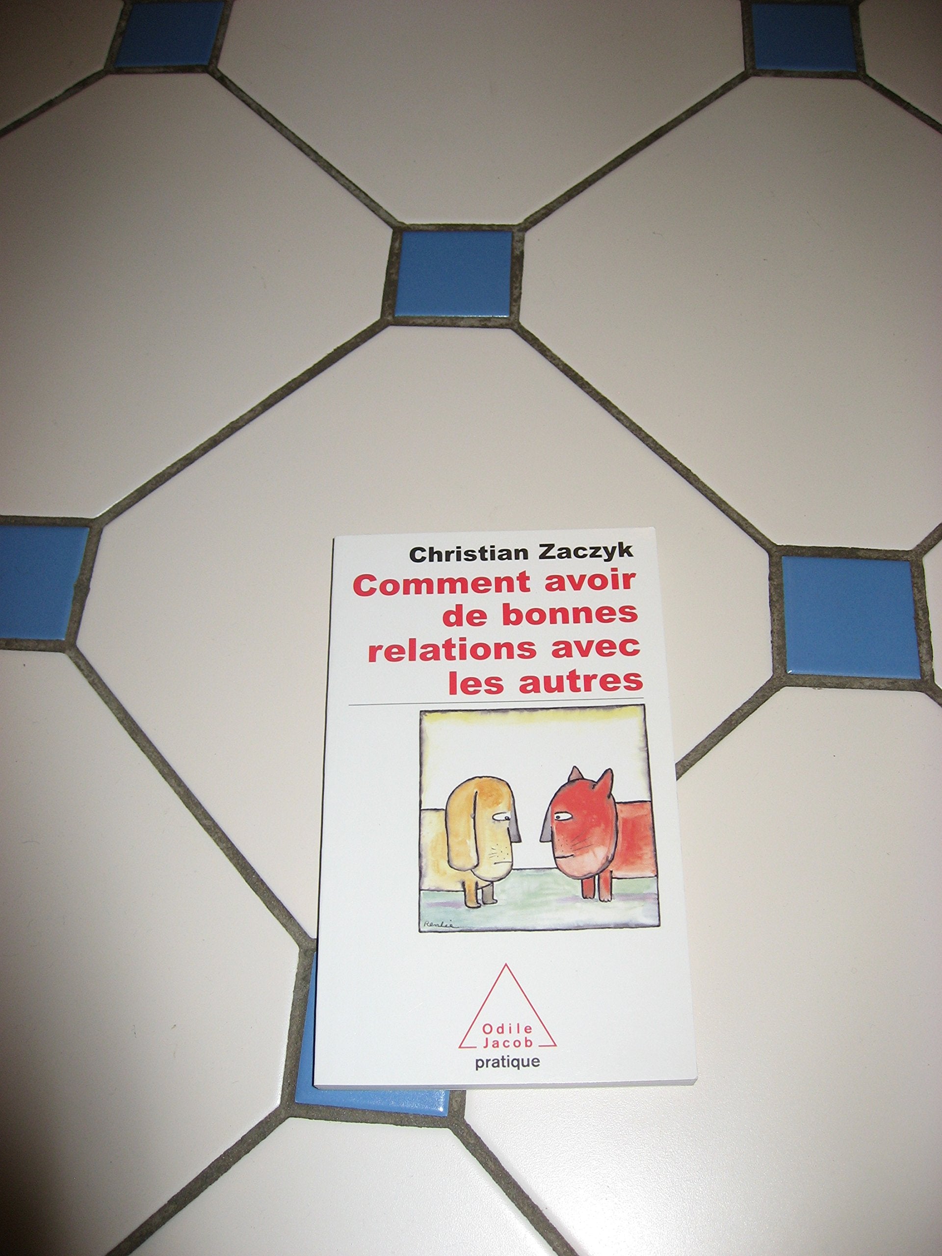 Comment avoir de bonnes relations avec les autres 9782738121189