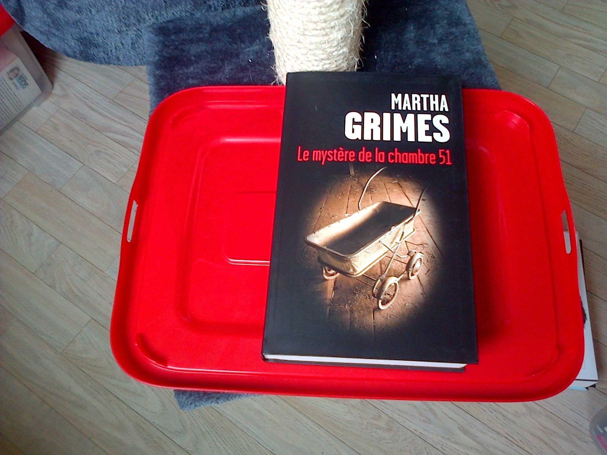 Le Mystère de la chambre 51 9782286083601