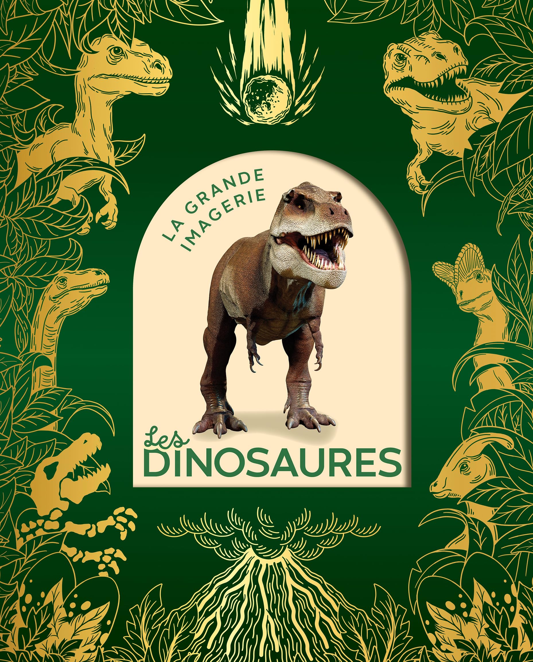 Les dinosaures 9782215198048