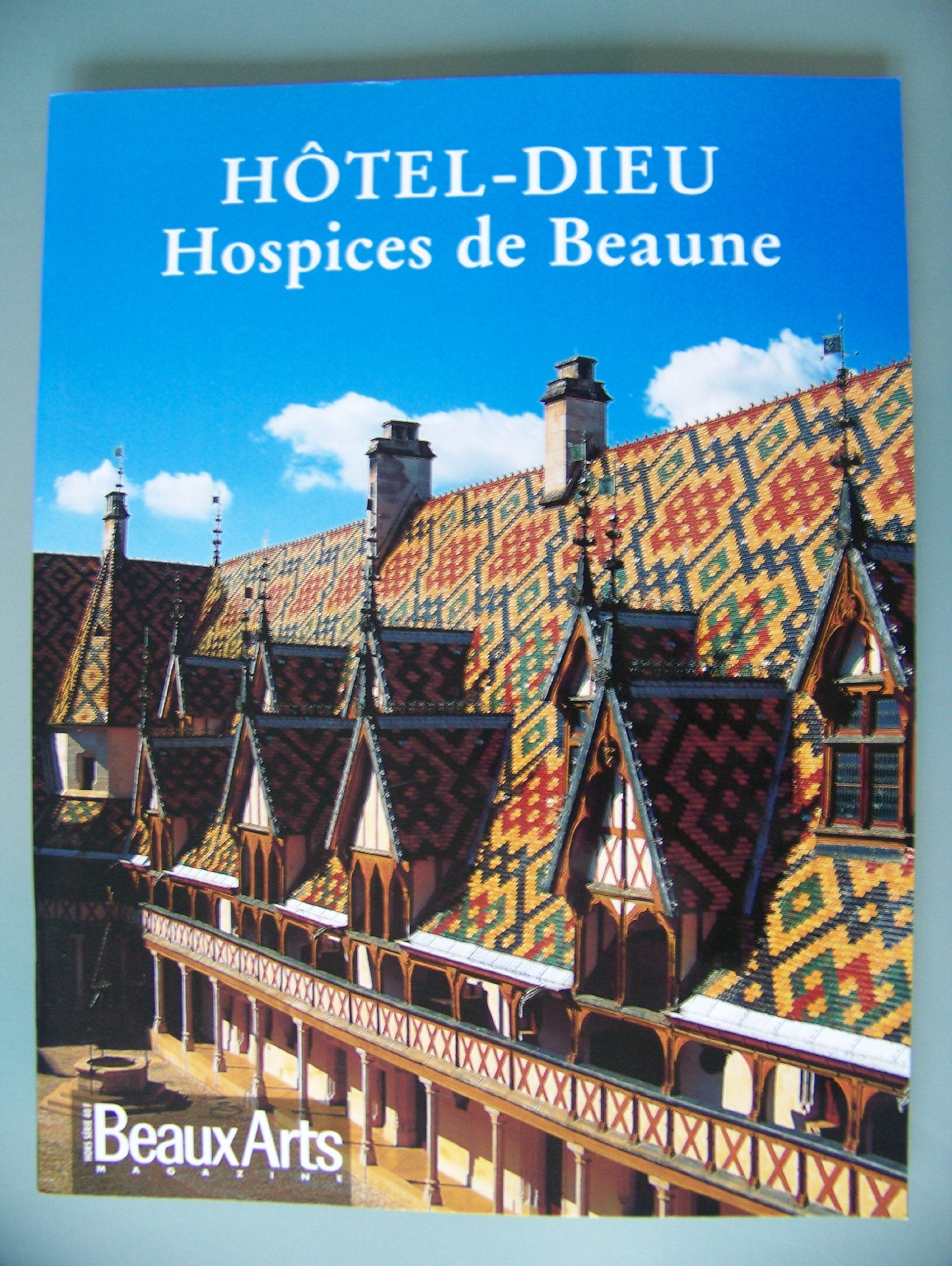 Les Hospices de Beaune (en français) 9782842782641