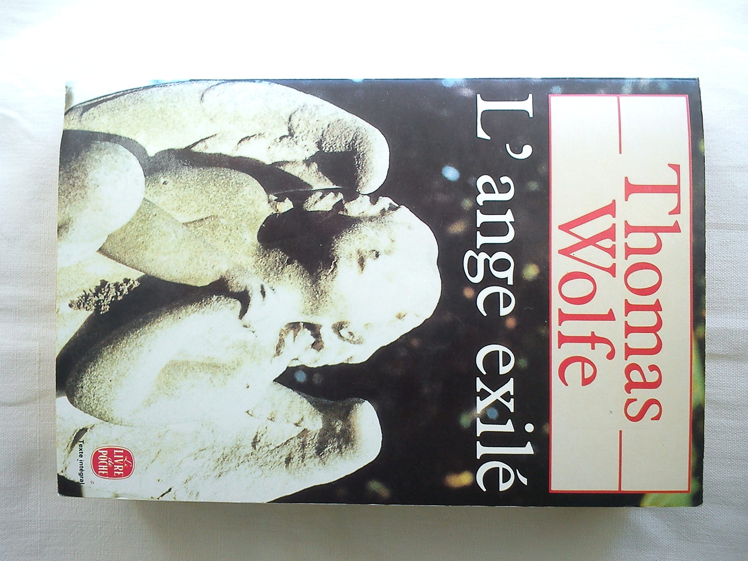 L'ange exilé 9782253047902