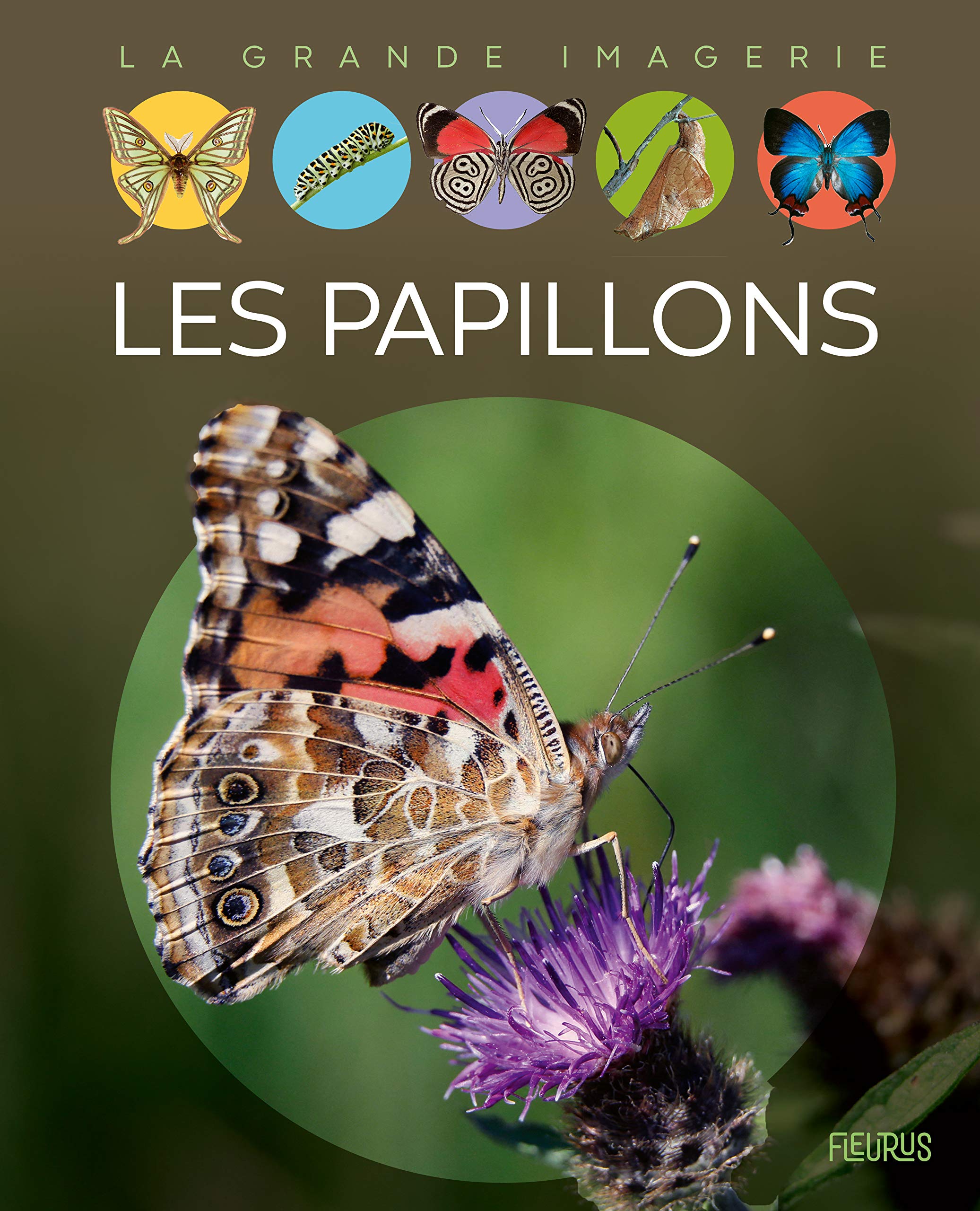 Les papillons 9782215159117