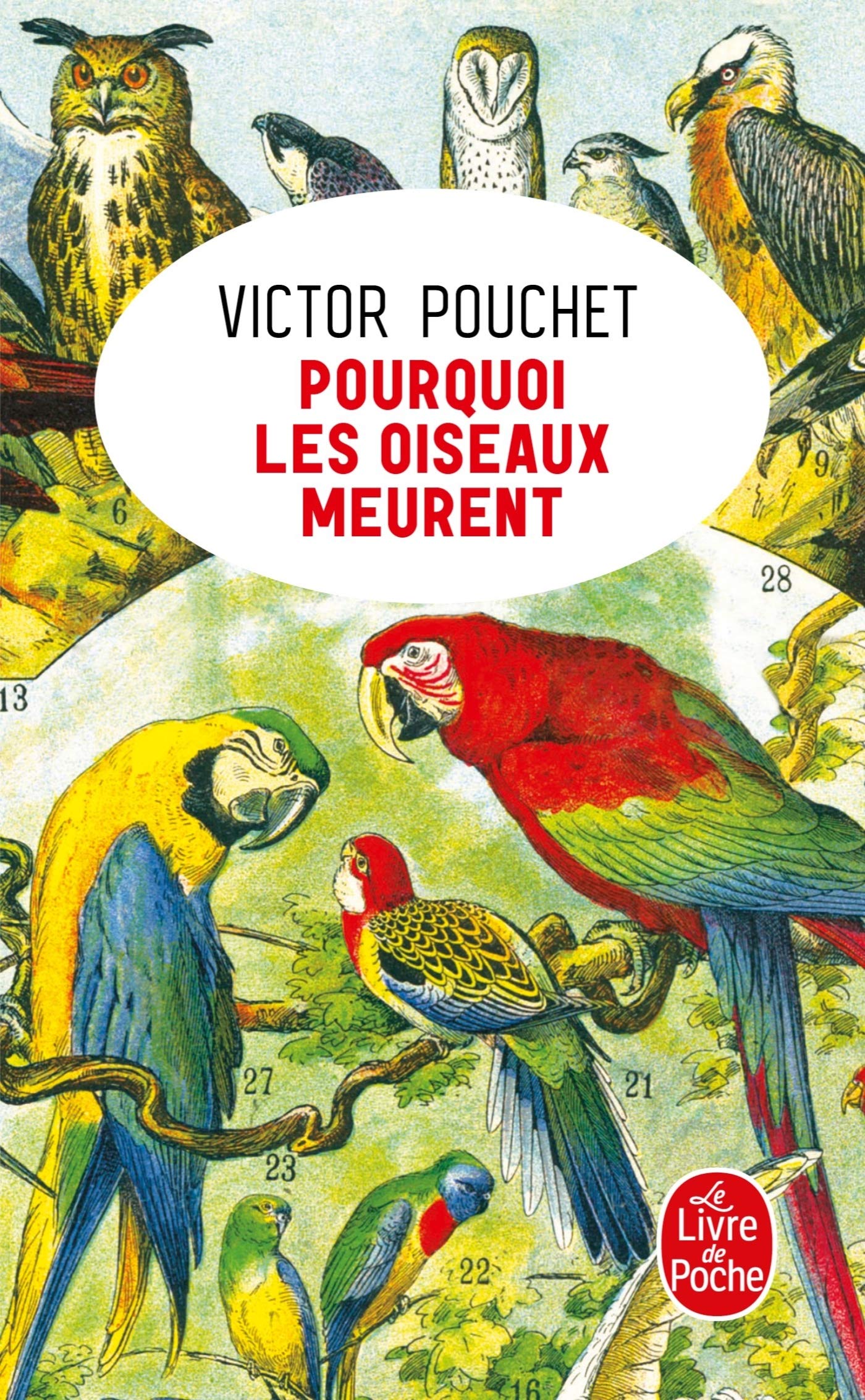 Pourquoi les oiseaux meurent 9782253906698