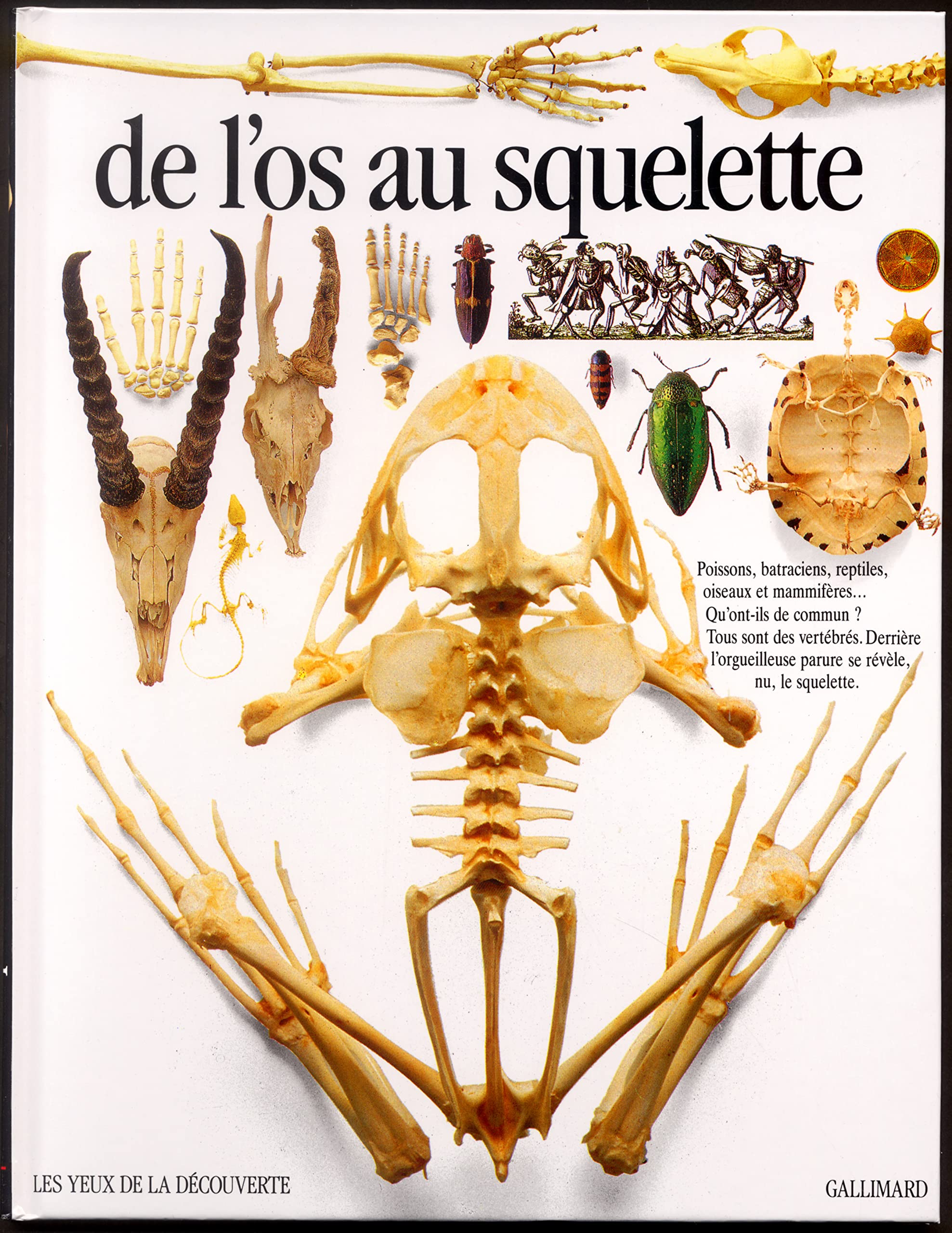 De l'os au squelette 9782070563814