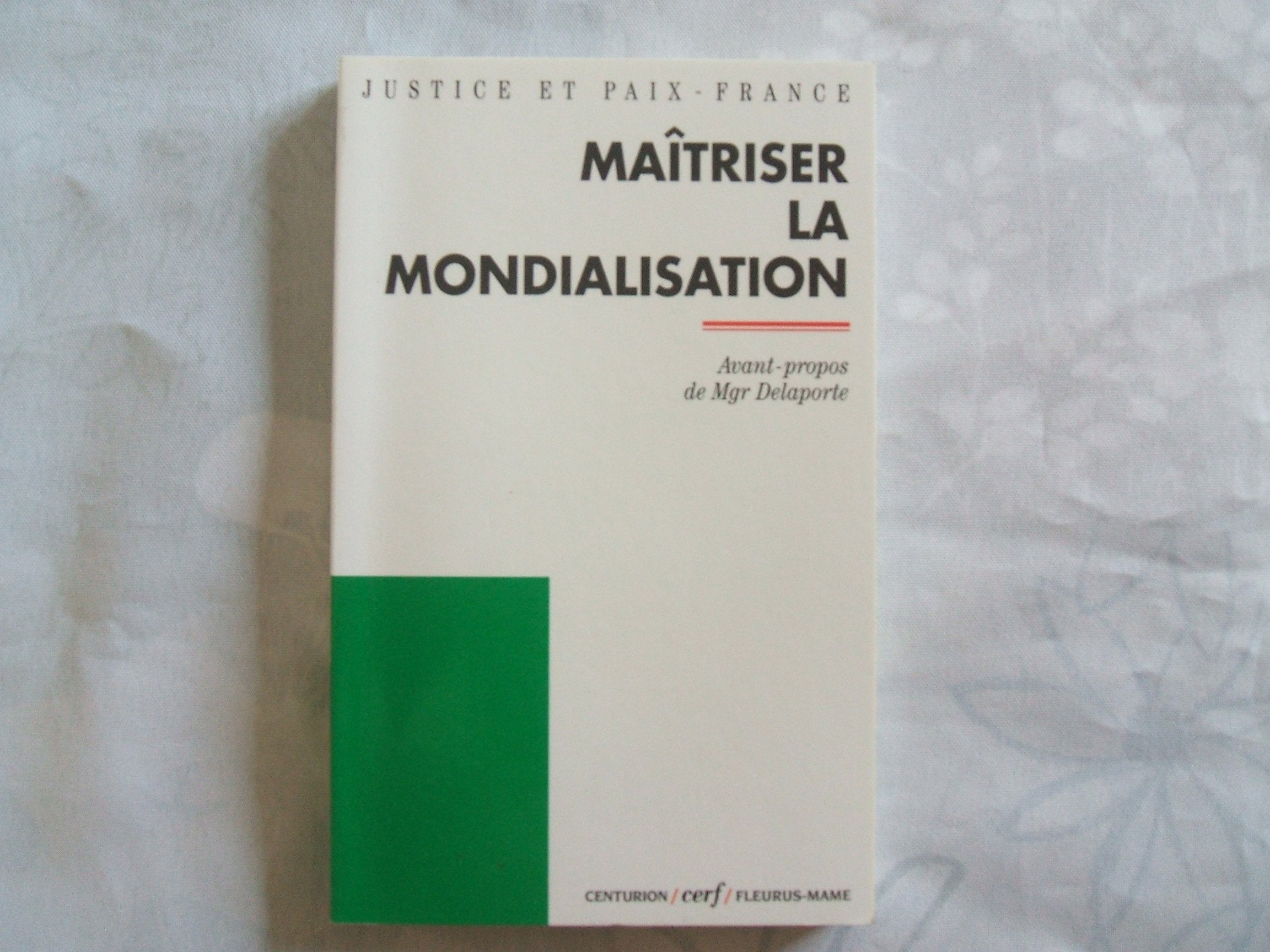 Maitriser La Mondialisation 9782227911321