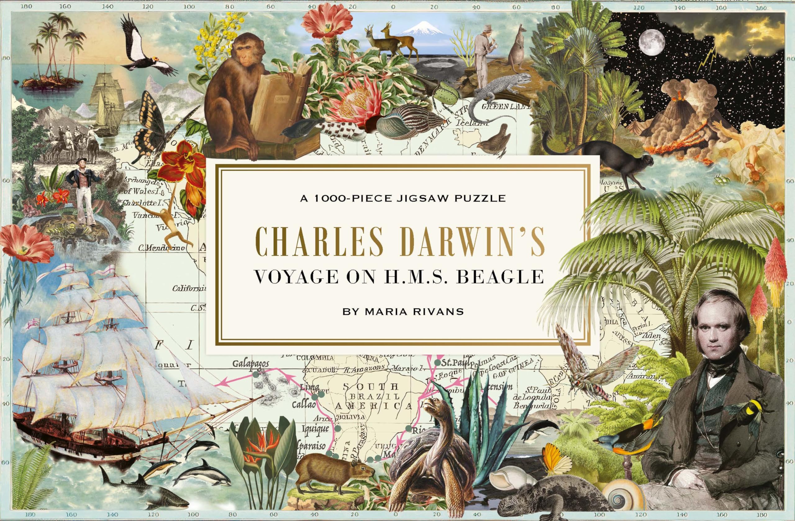 Charles Darwin's Voyage on H.M.S. Beagle: A 1000-Piece Jigsaw Puzzle/Anglais 9781837760534