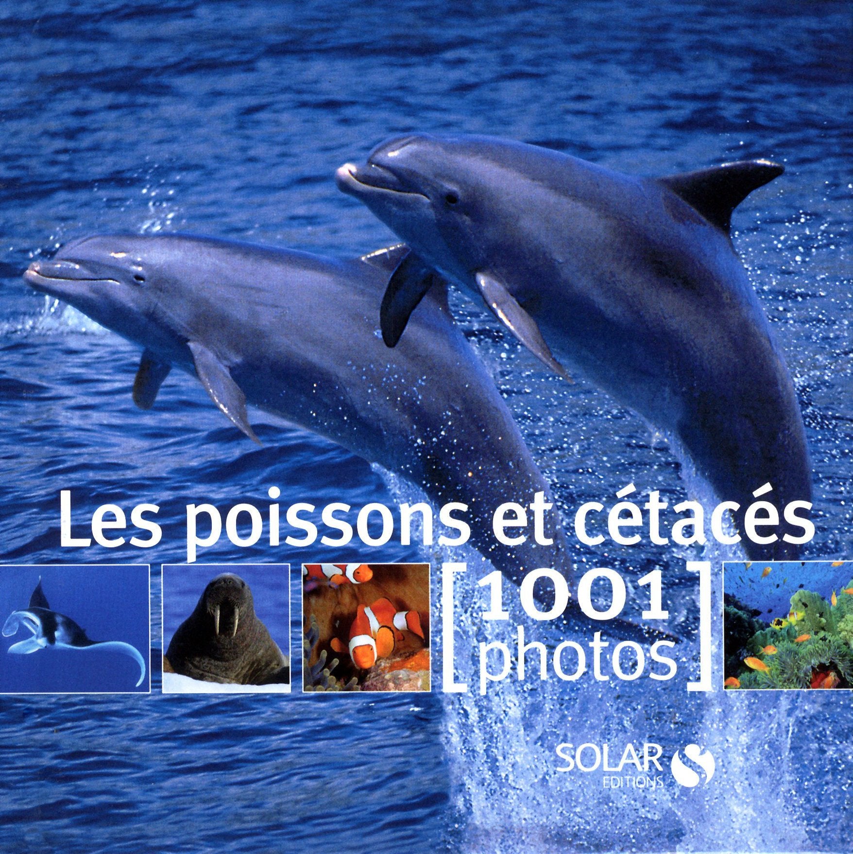 Les poissons et cétacés - 1001 photos 9782263049040