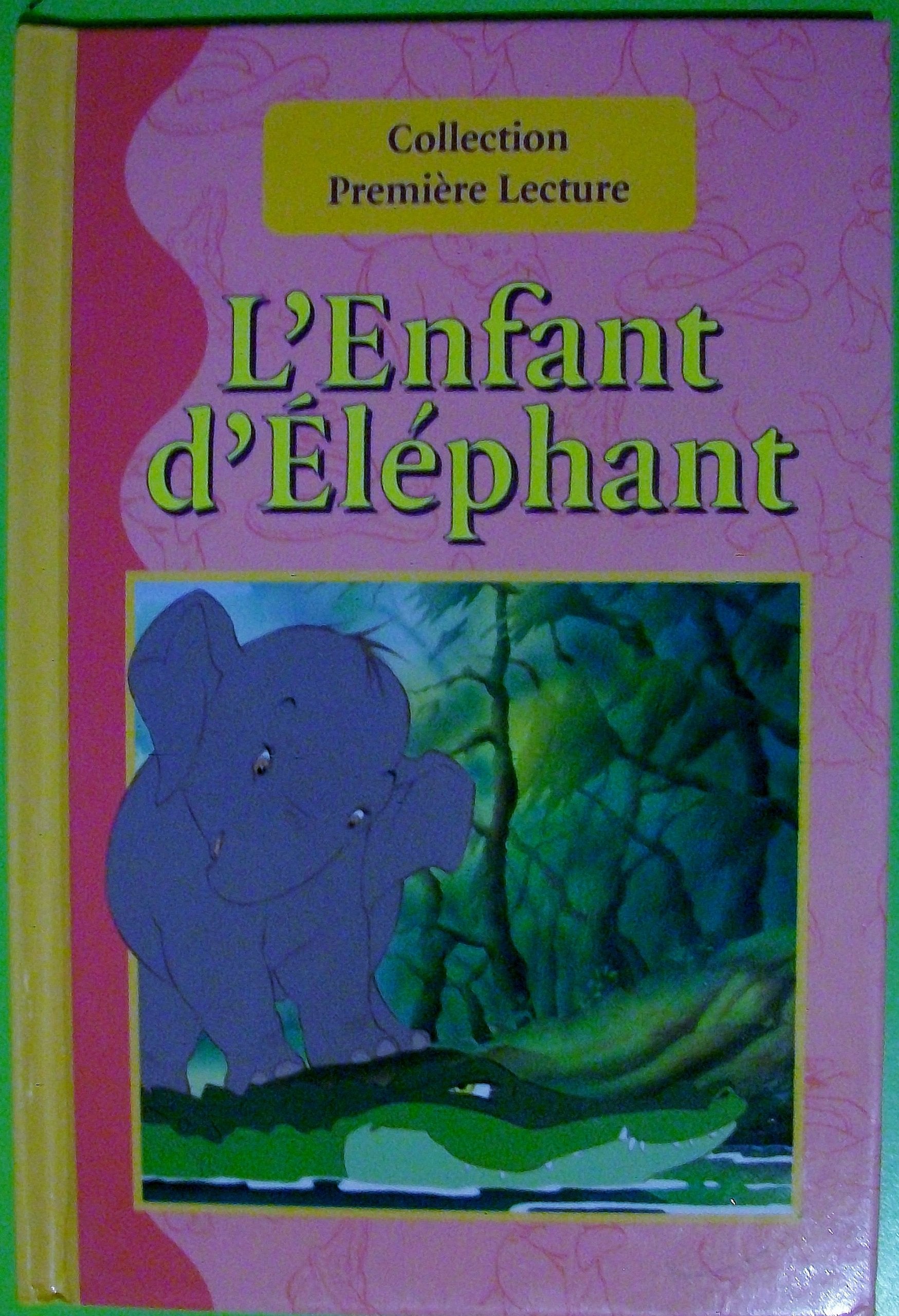 L'ENFANT D'ELEPHANT 9782849031698
