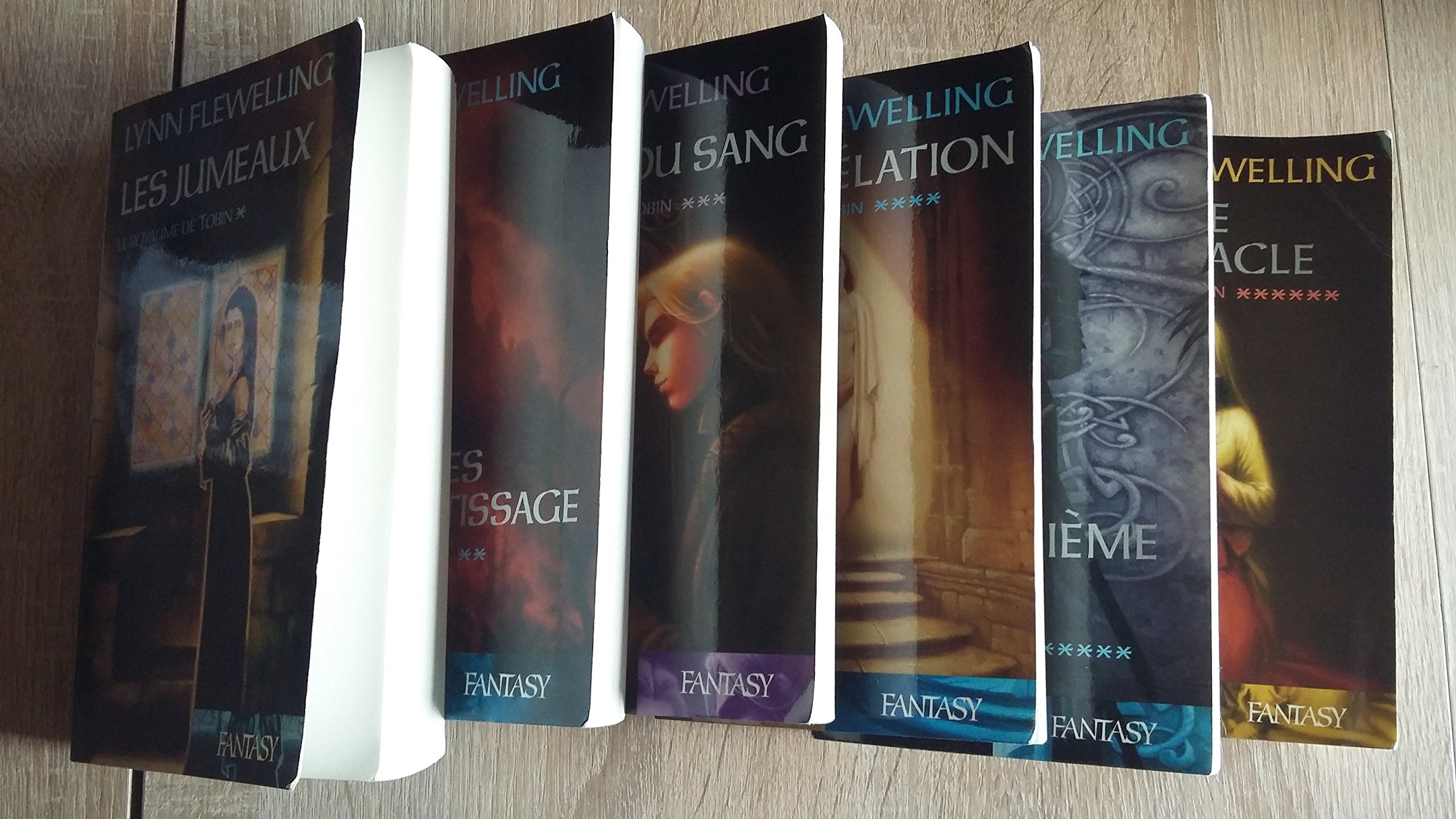 Le royaume de Tobin, tome 1 : Les jumeaux 9782744179105