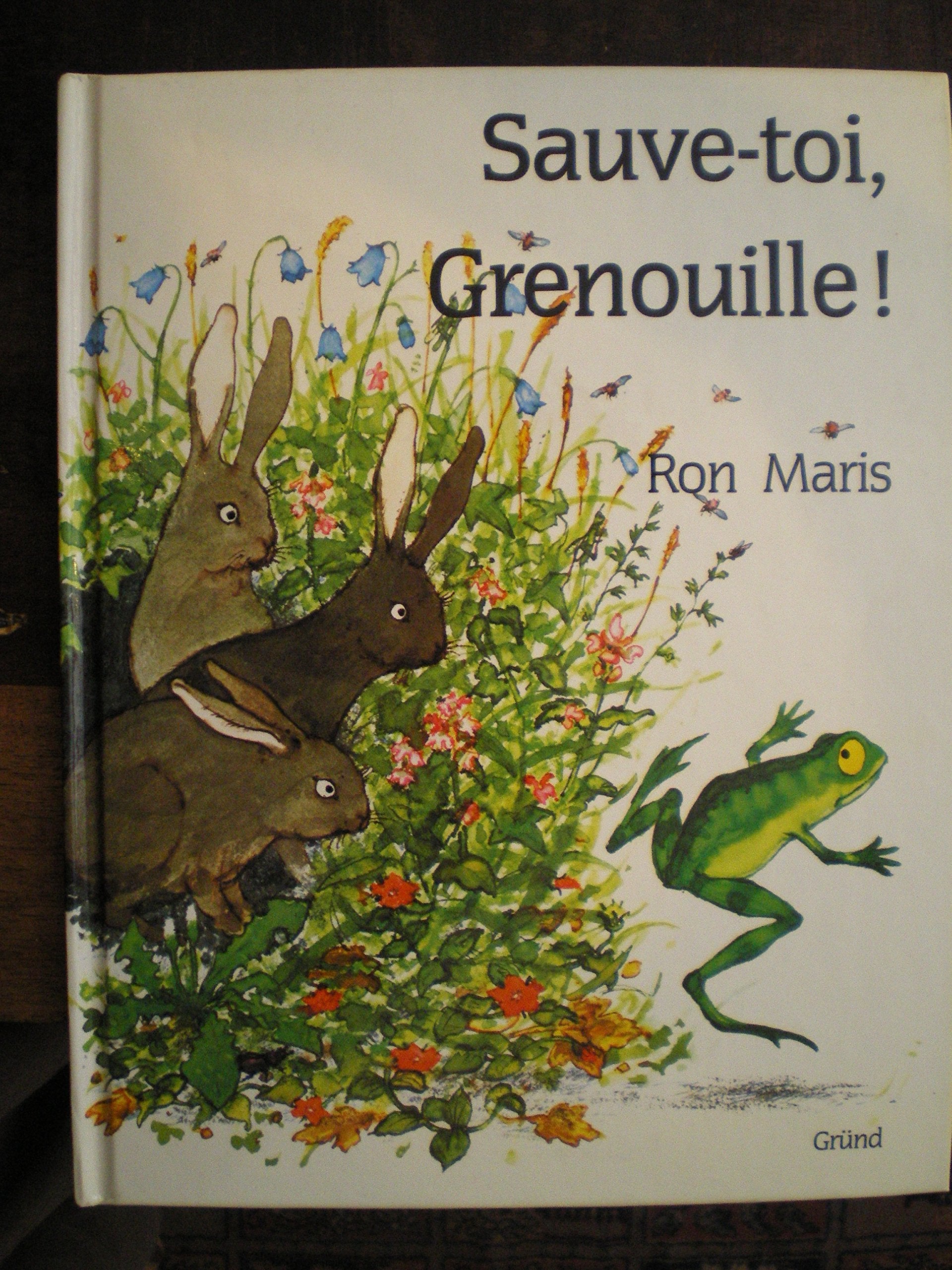 Sauve-toi, grenouille ! 9782700045123