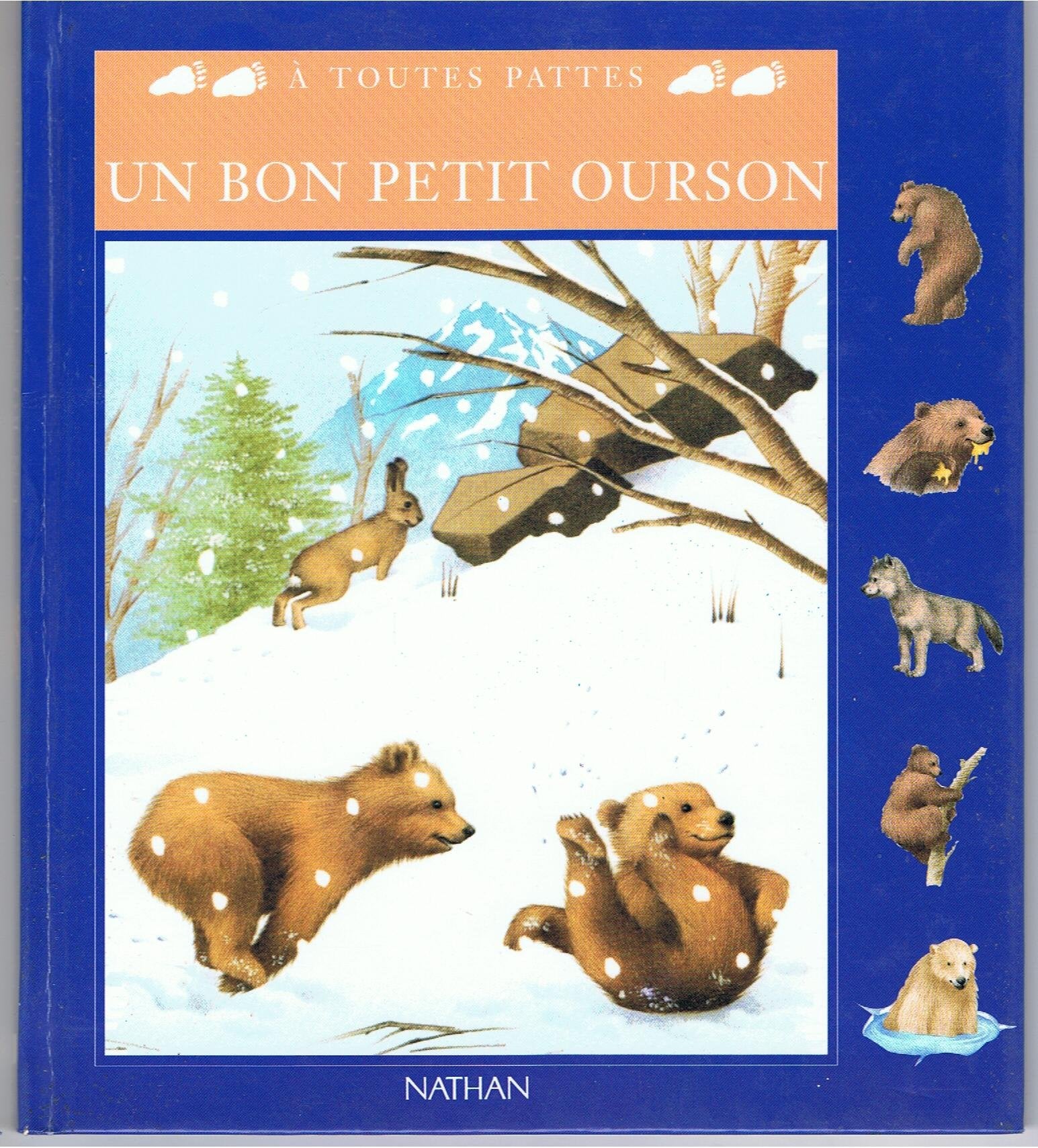 Un bon petit ourson 9782092015872