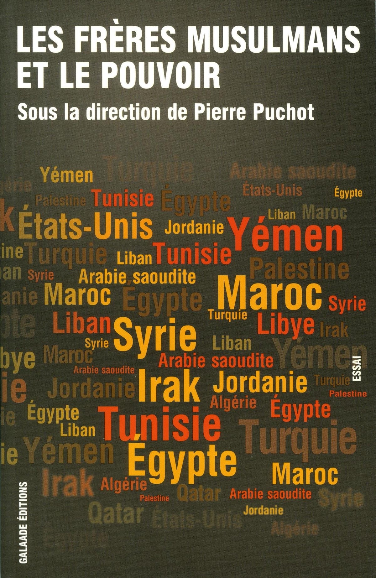 Les Frères musulmans et le pouvoir (2011-2014) 9782351763568
