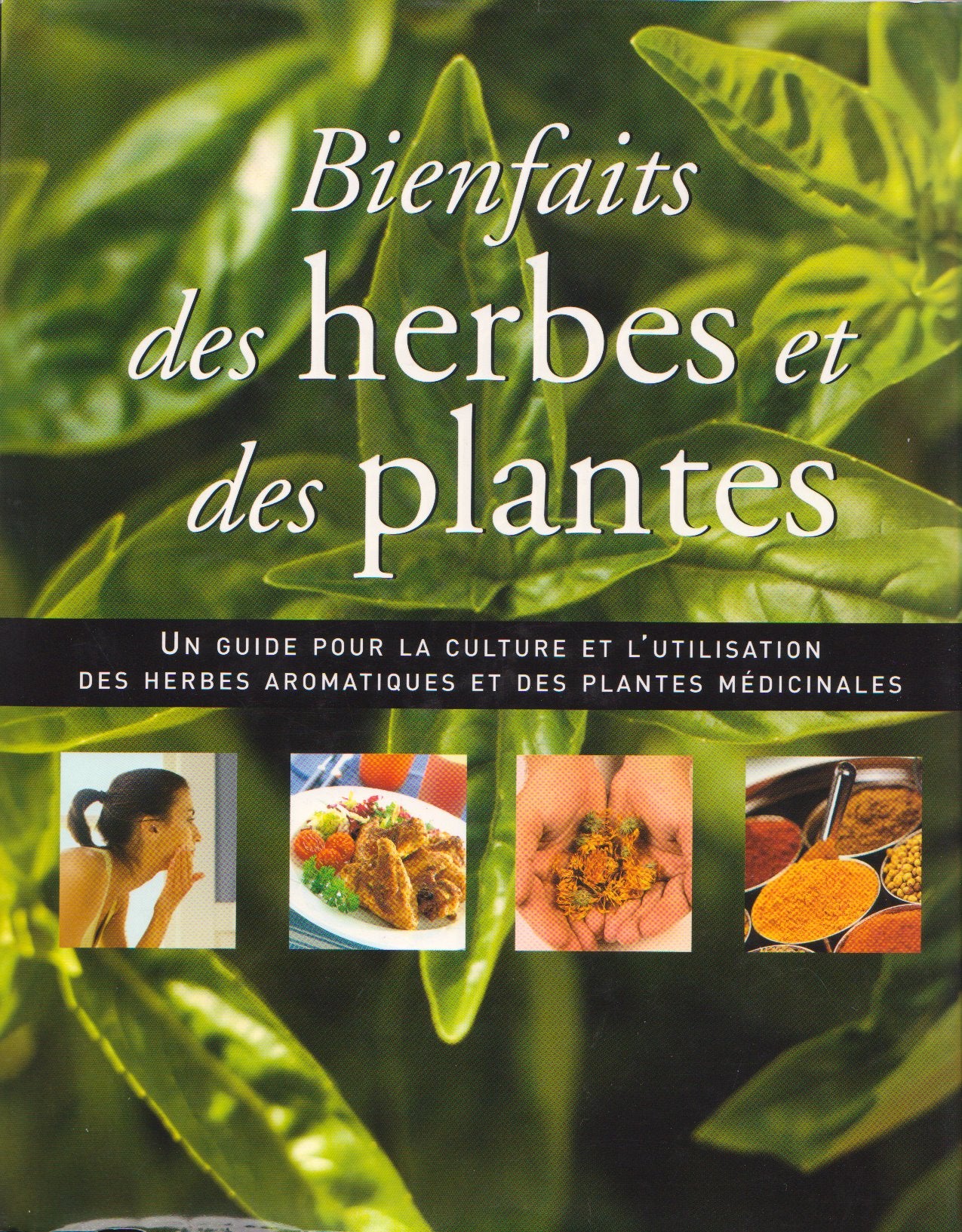 Bientfaits des herbes et des plantes 9781405452298