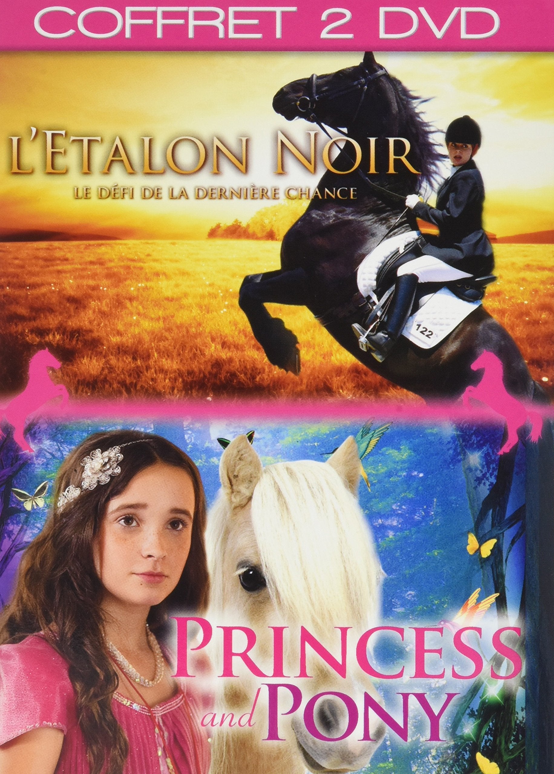 Coffret Cheval, vol. 2 : l'étalon Noir Princess and Pony 3760121804433
