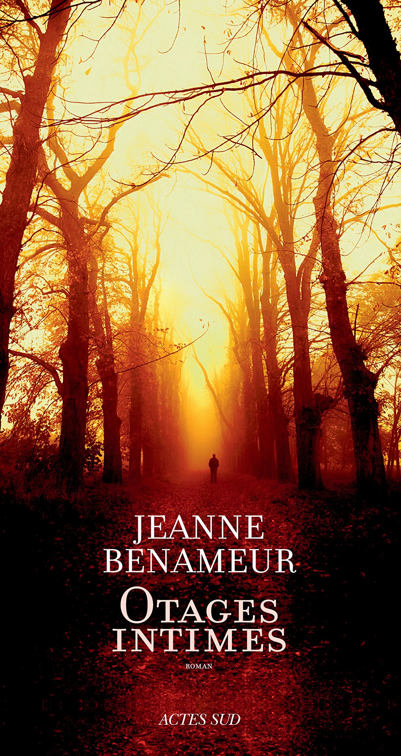 Otages intimes 9782330053116