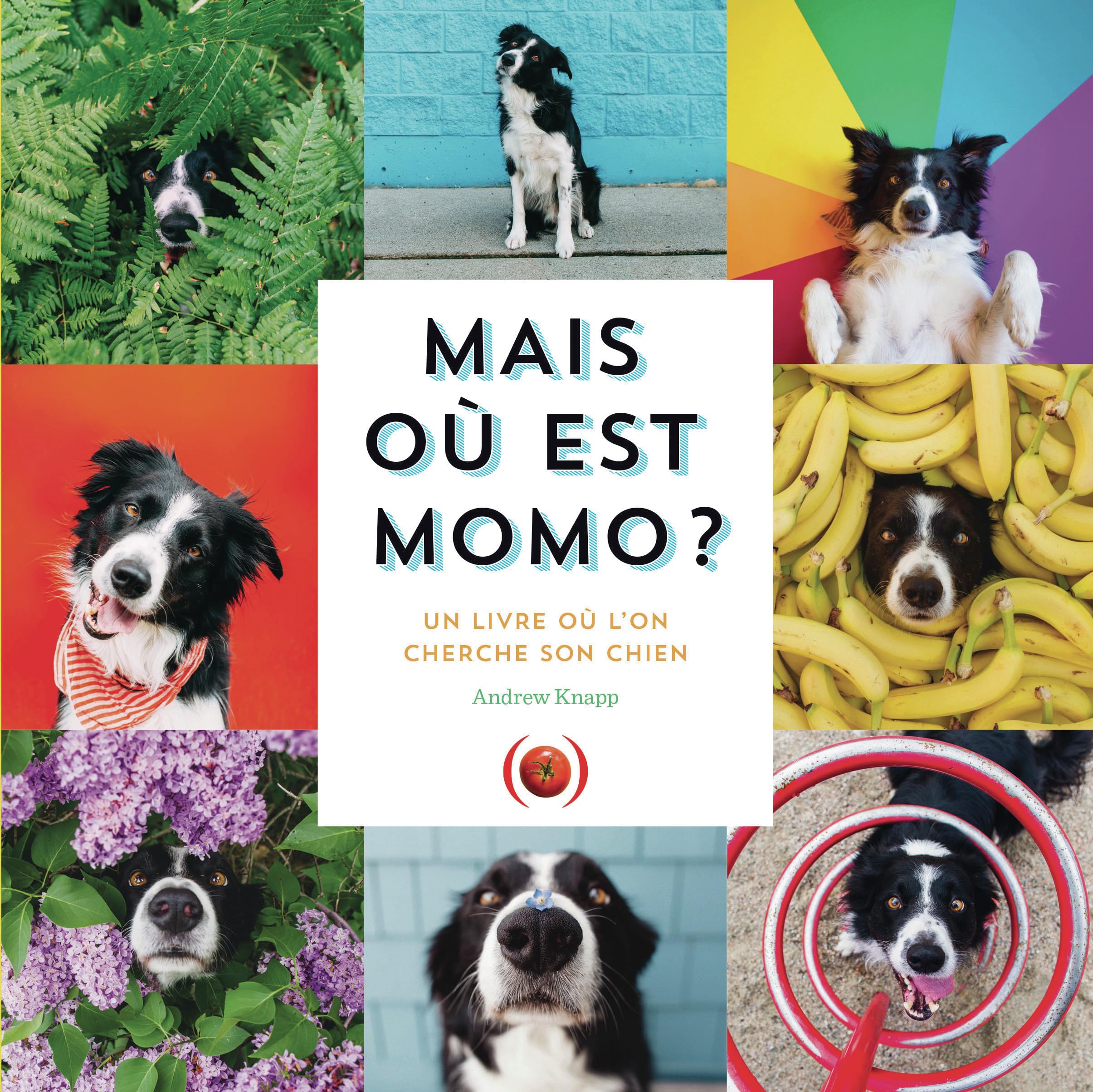 MAIS OU EST MOMO ? 9782361935177