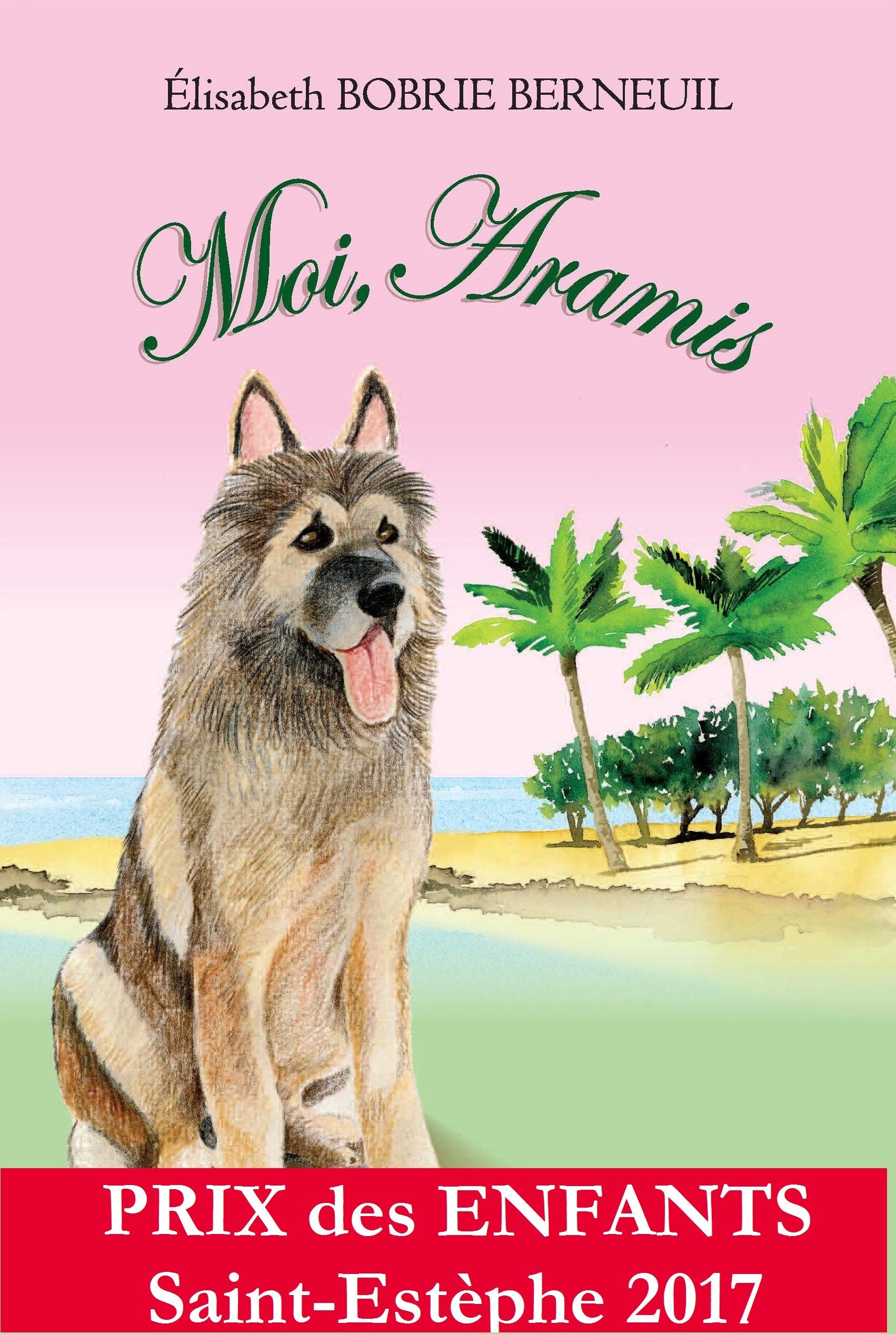 Moi, aramis 9782955194133