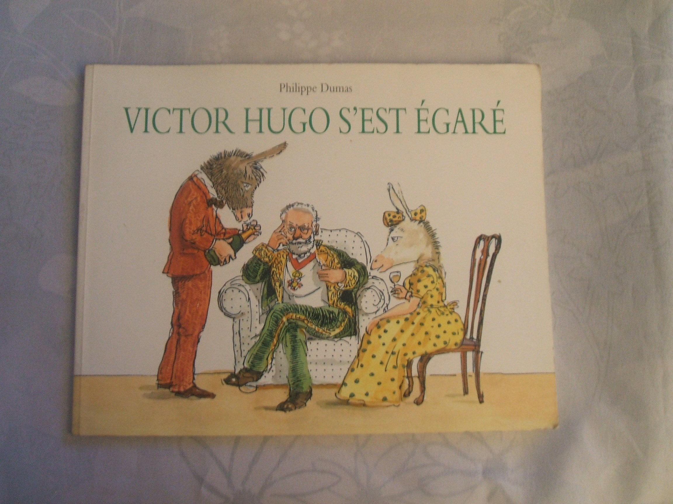 Victor Hugo s'est égaré 9782211014151