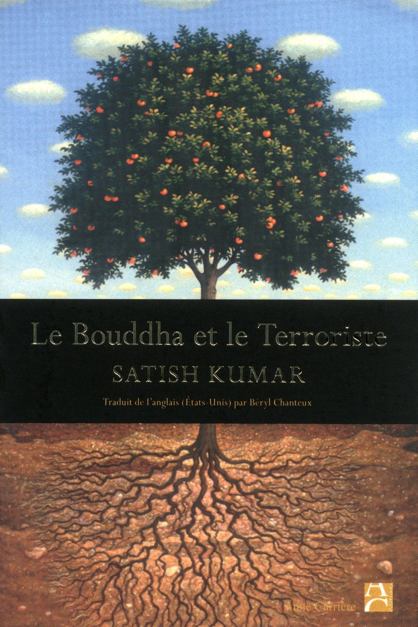 BOUDDHA ET LE TERRORISTE 9782843374630
