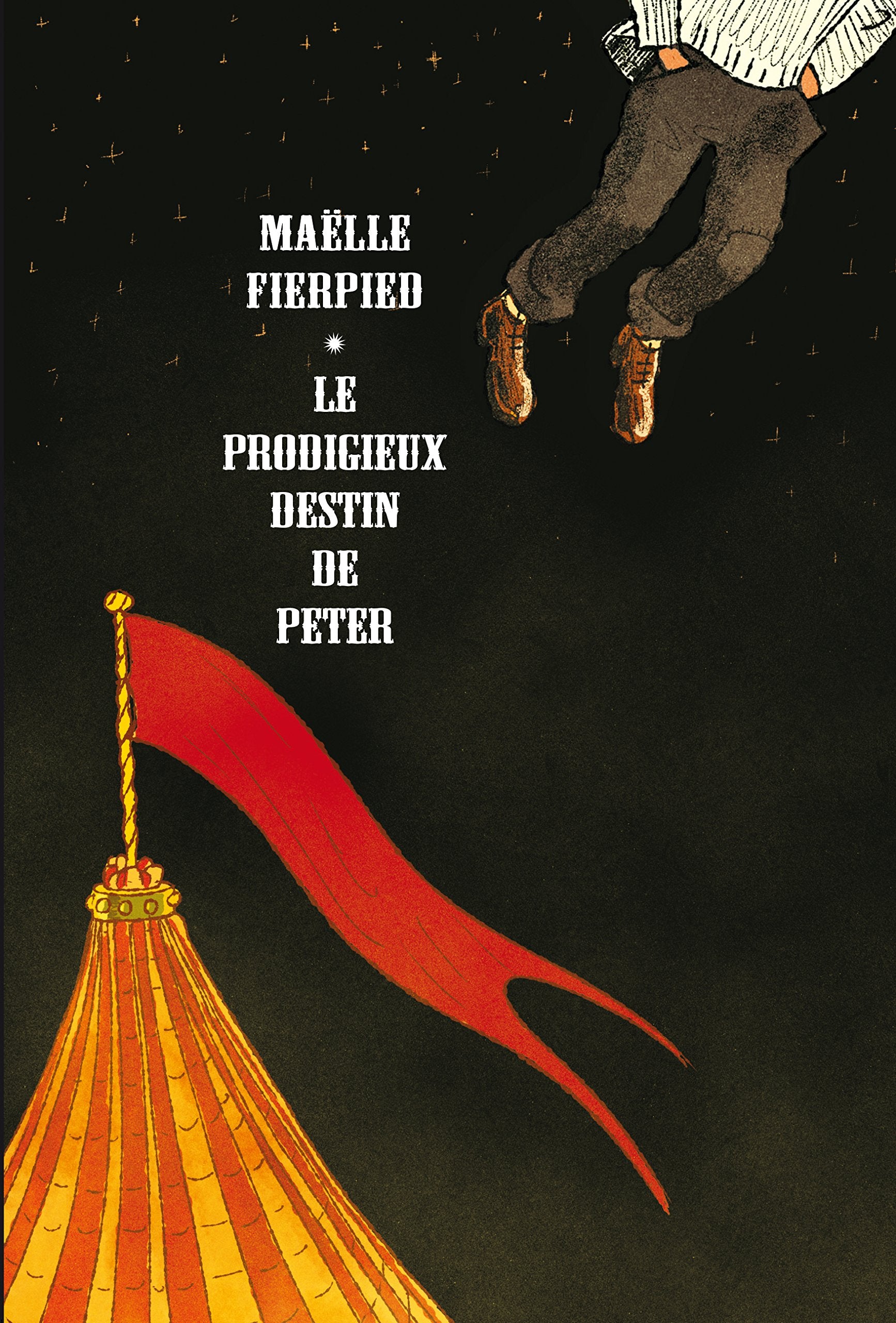 LE PRODIGIEUX DESTIN DE PETER 9782211216944