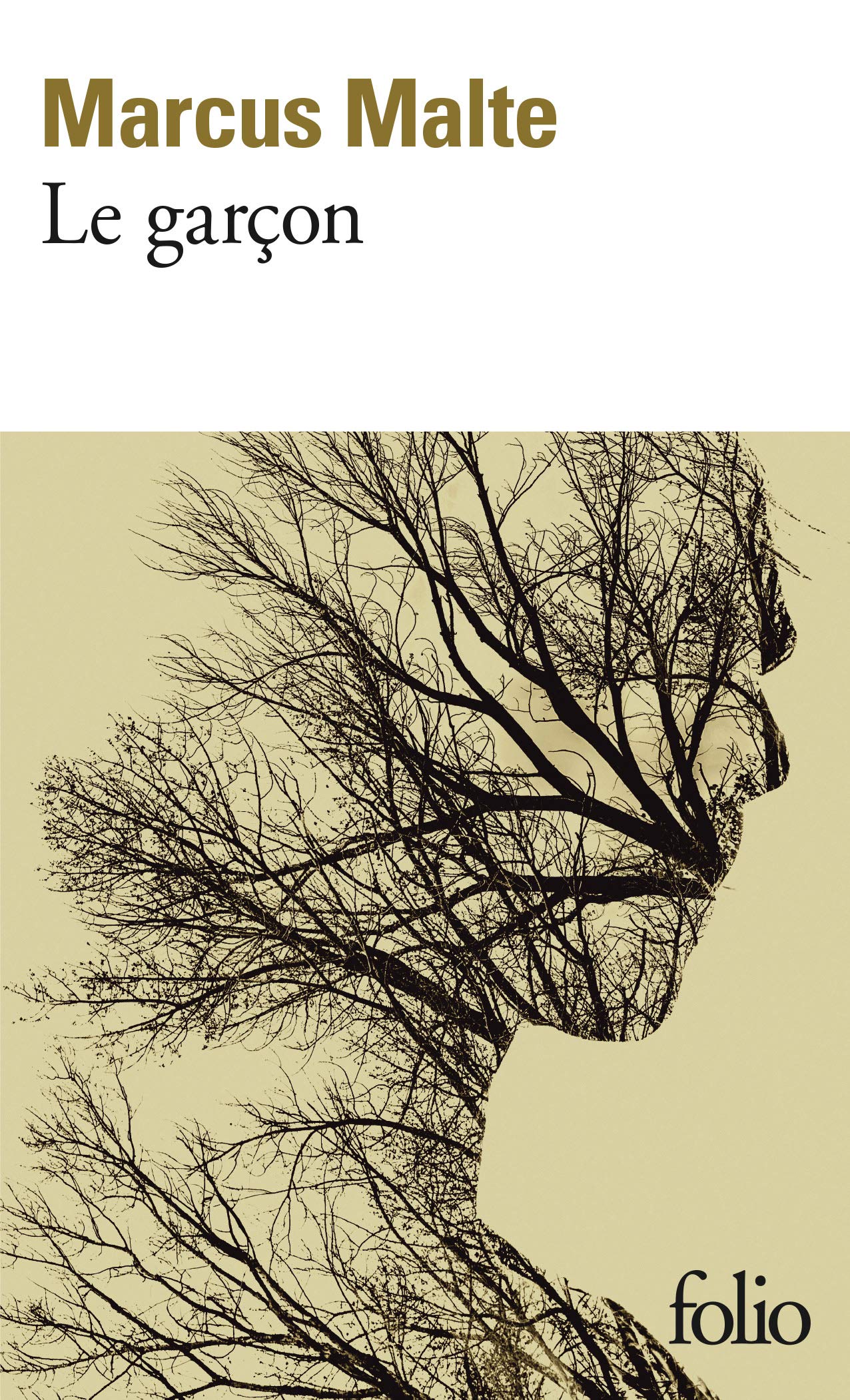 Le garçon 9782072733239