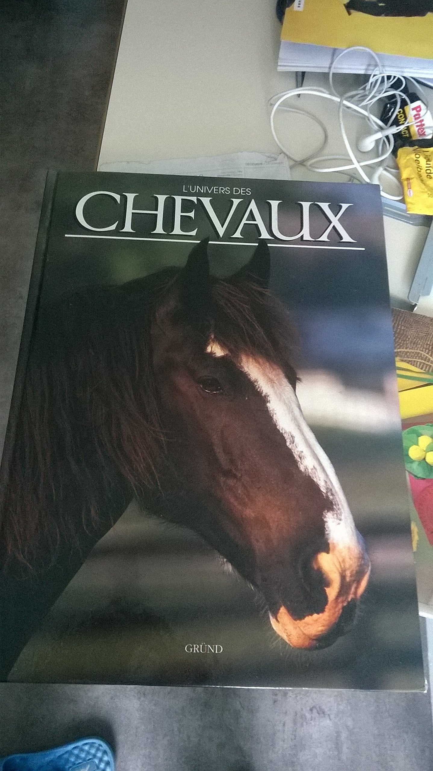 L'univers des chevaux 9782700054156