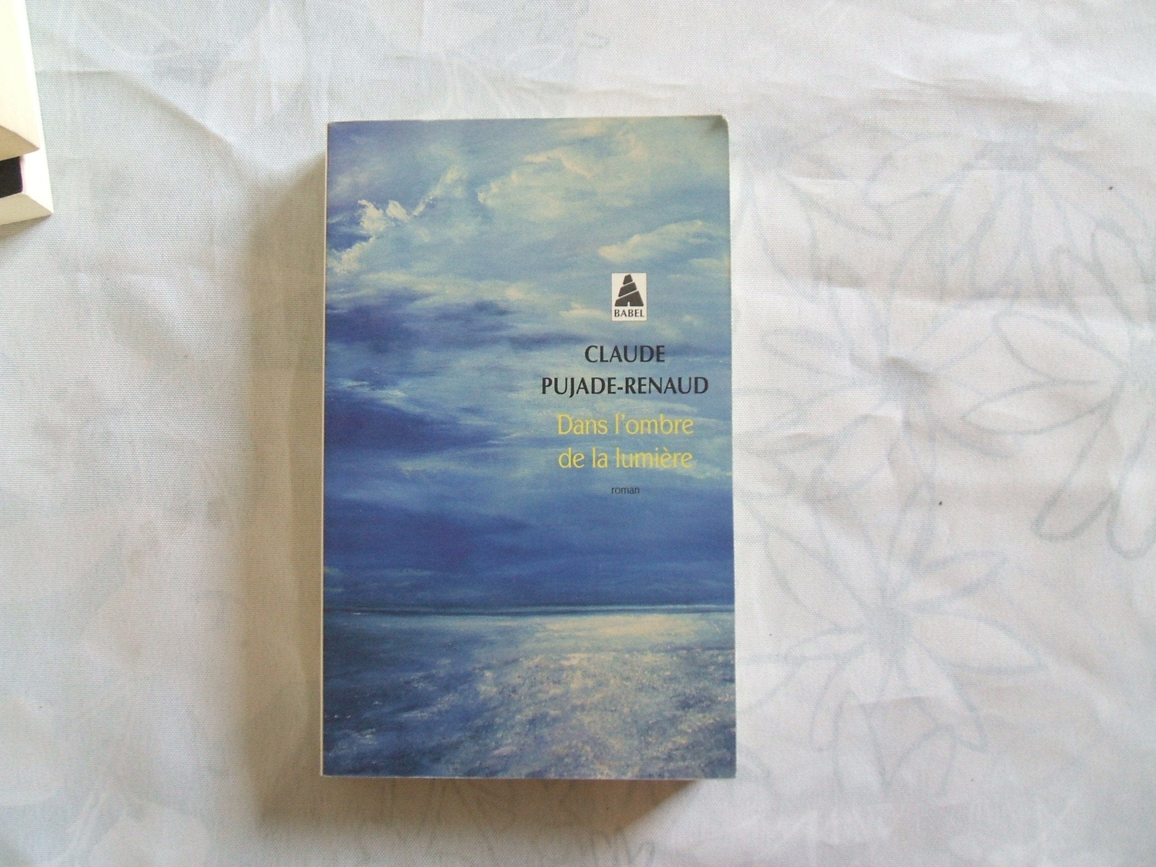 Dans l'ombre de la lumière 9782330028534