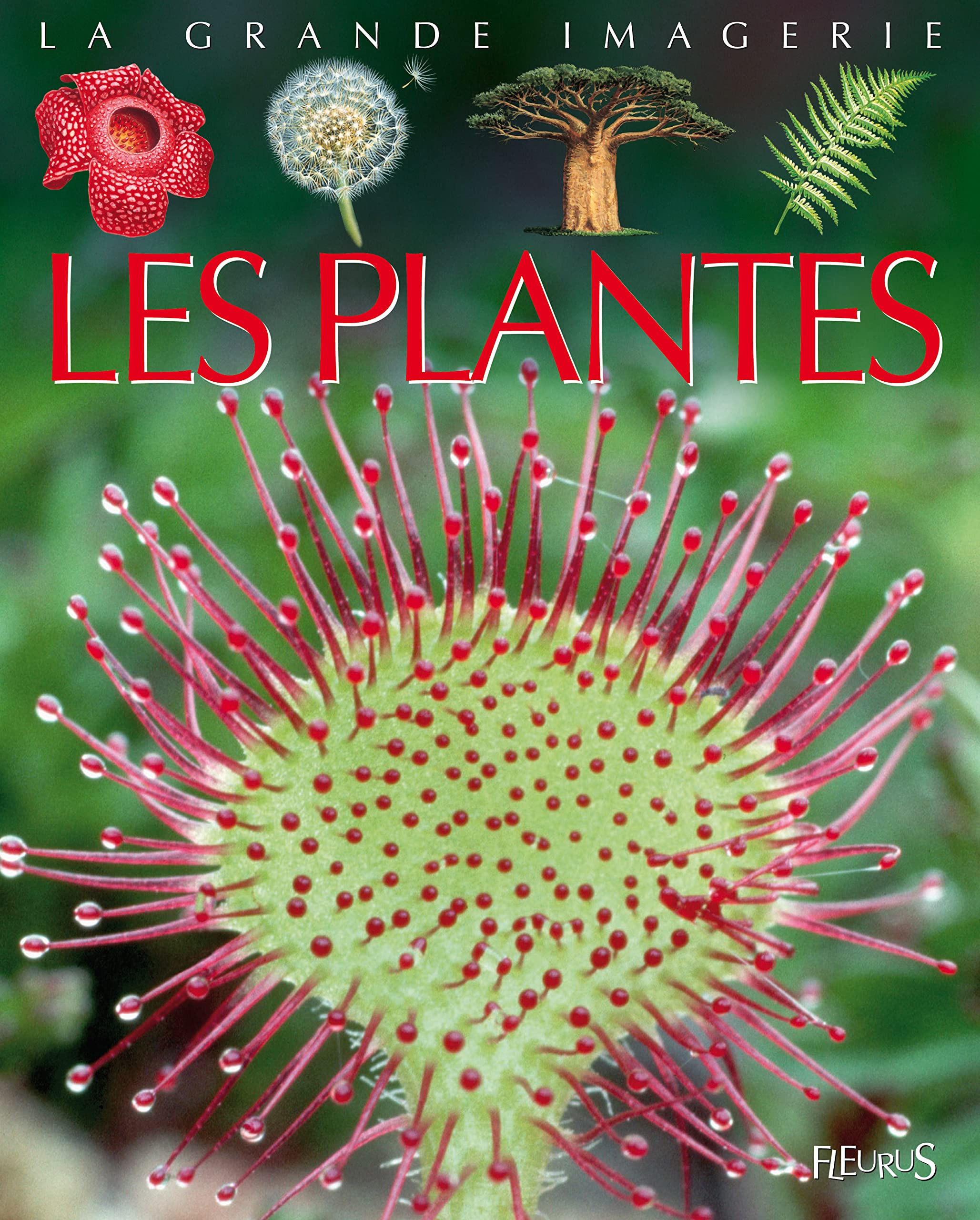 Les plantes 9782215114642