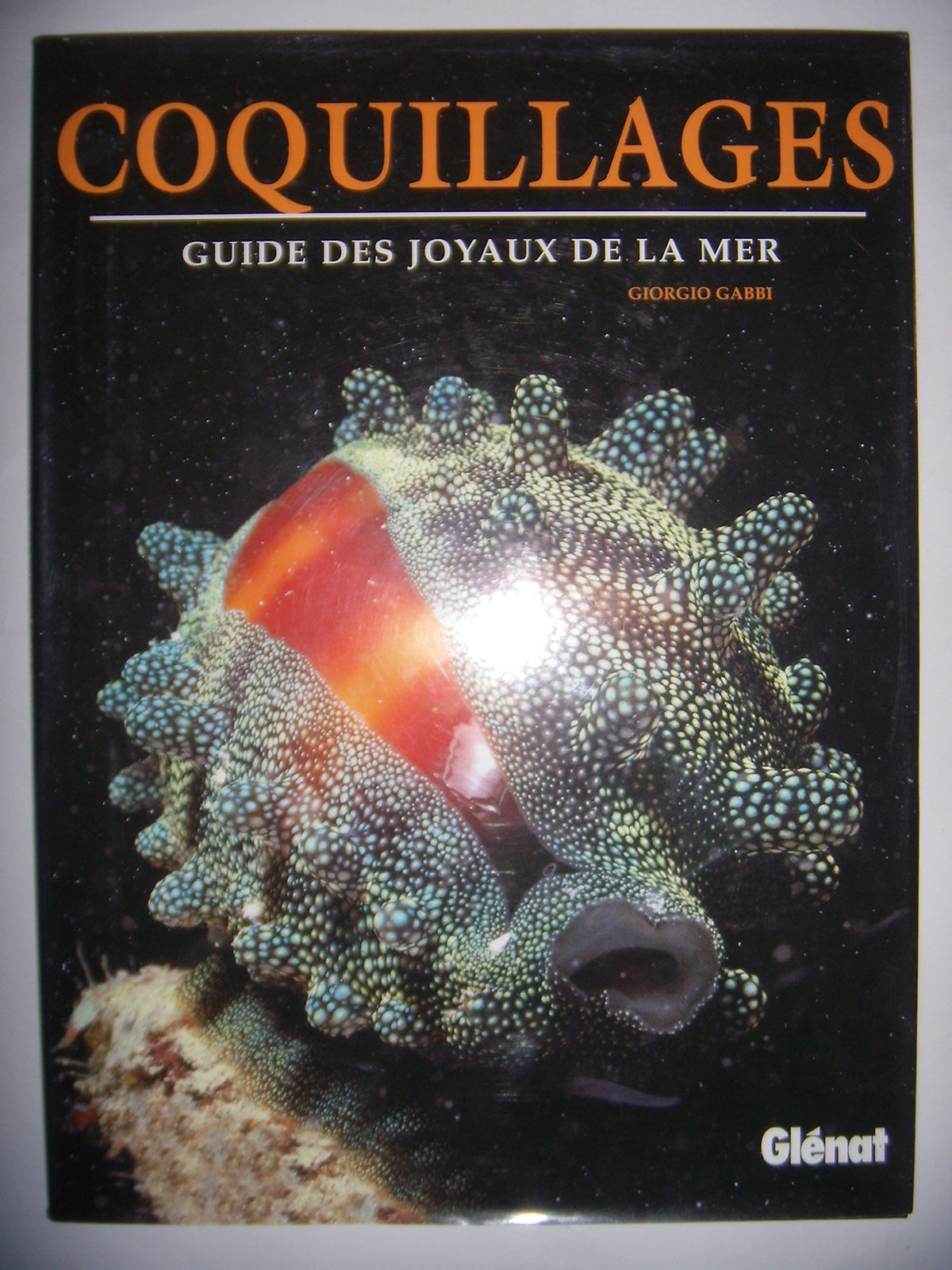 Les coquillages : le guide des joyaux de la mer 9782723432795