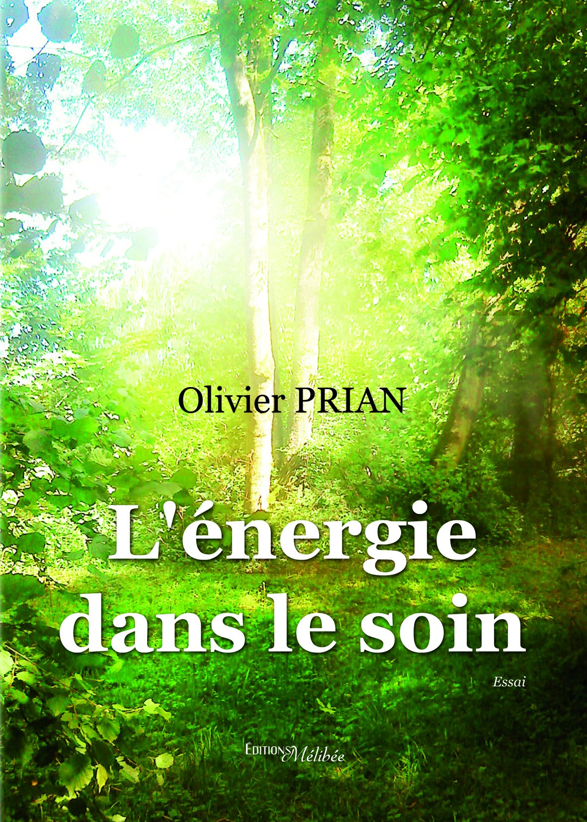L Energie Dans le Soin 9782362525148