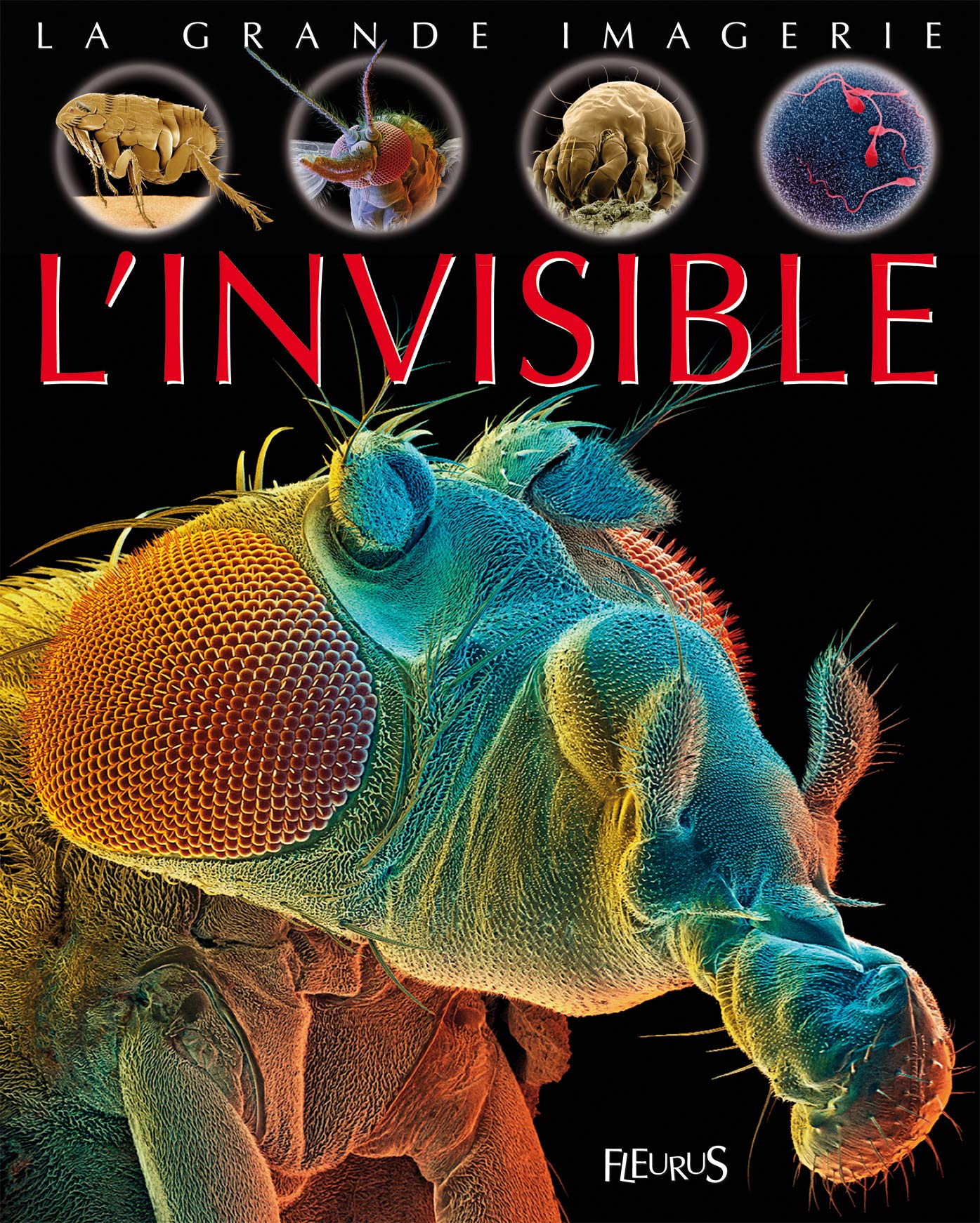L'invisible 9782215114949