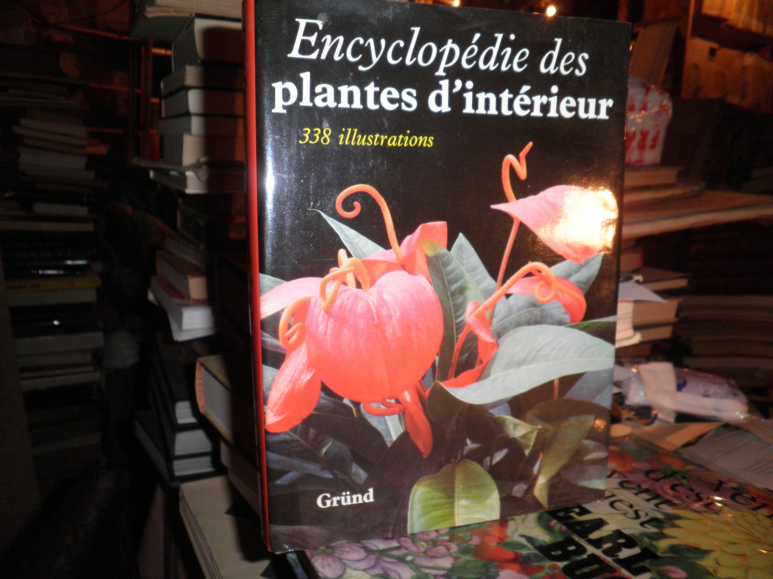 Encyclopédie des plantes d'intérieur 9782700013207