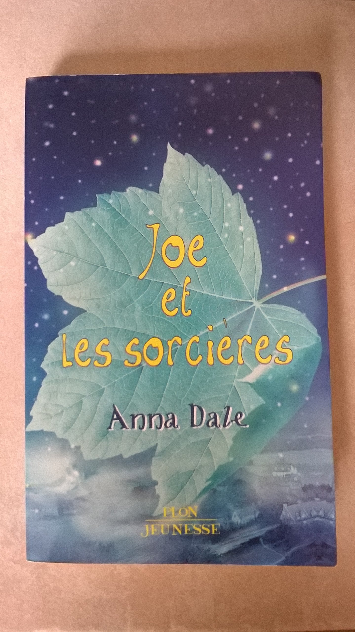 Joe et les sorcières 9782259200714