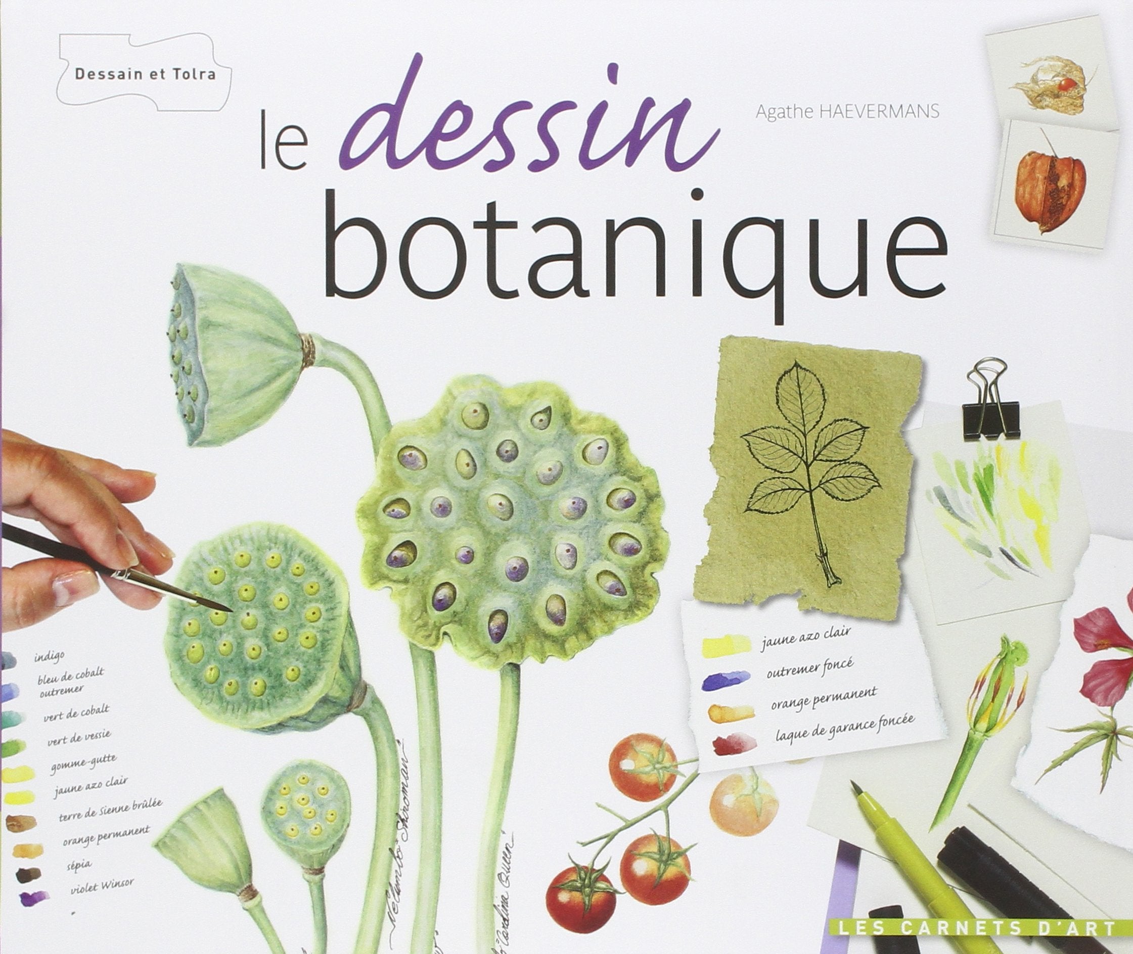 Le dessin botanique 9782295004147
