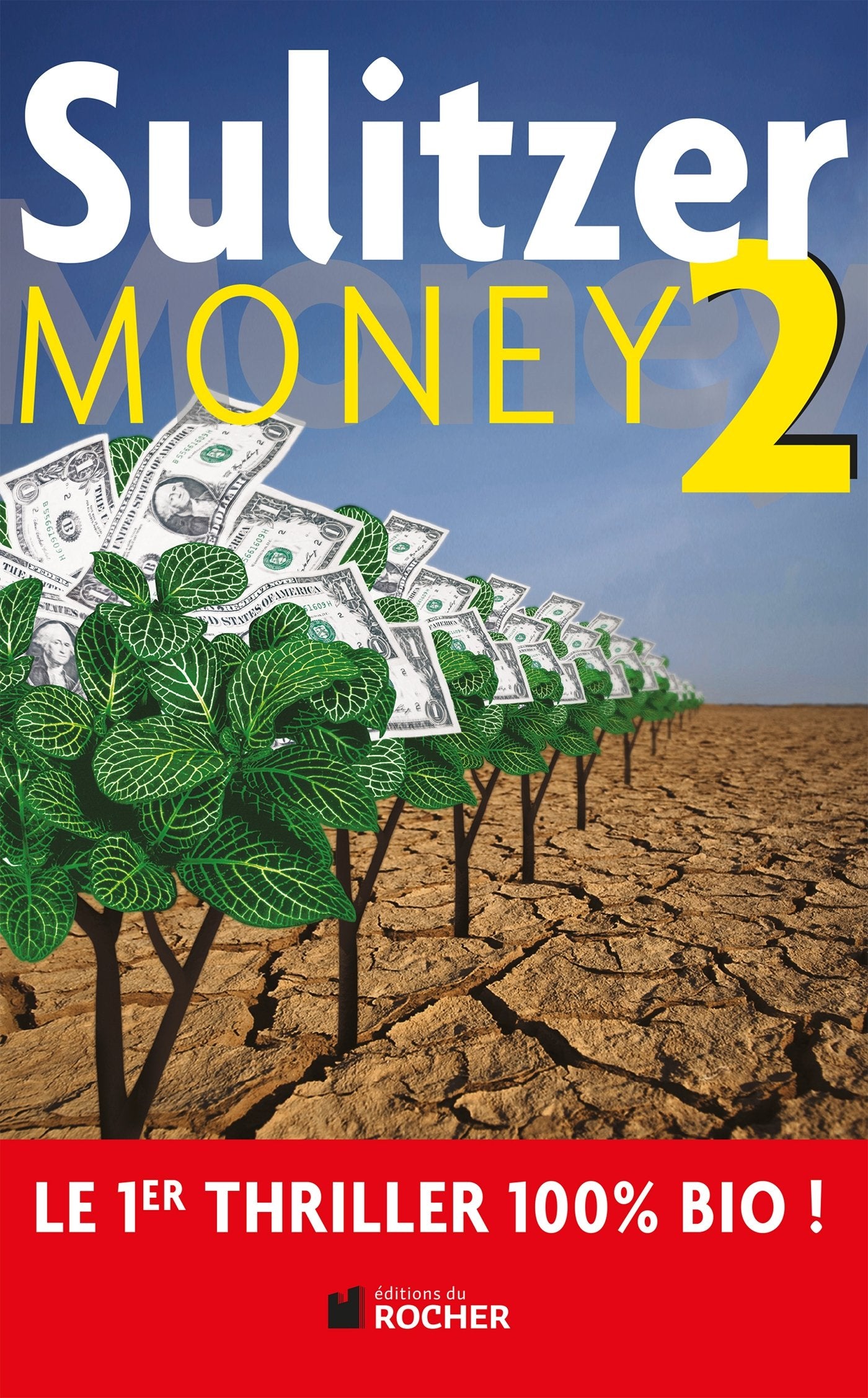 Money, tome 2 9782268069296
