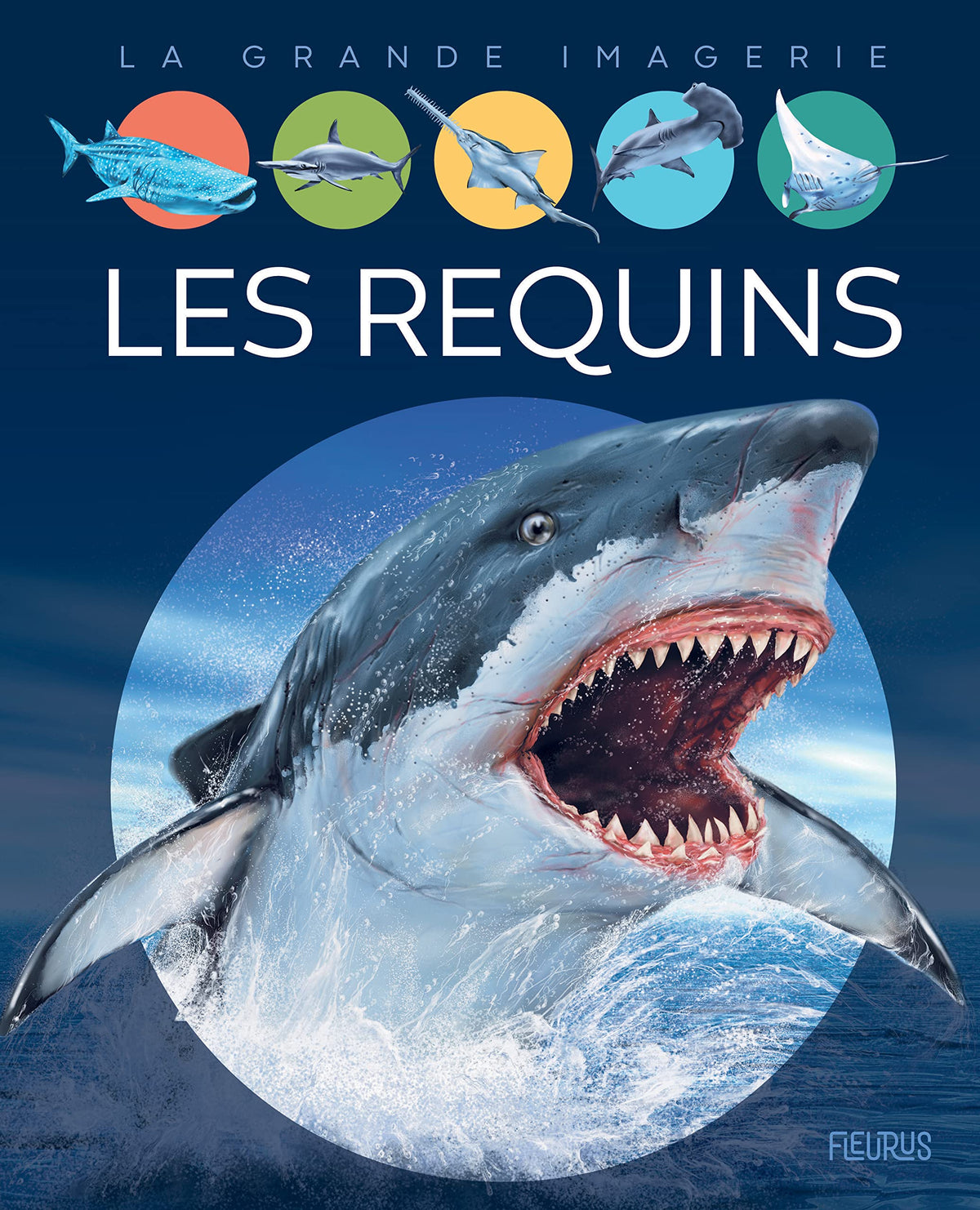 Les requins 9782215164784