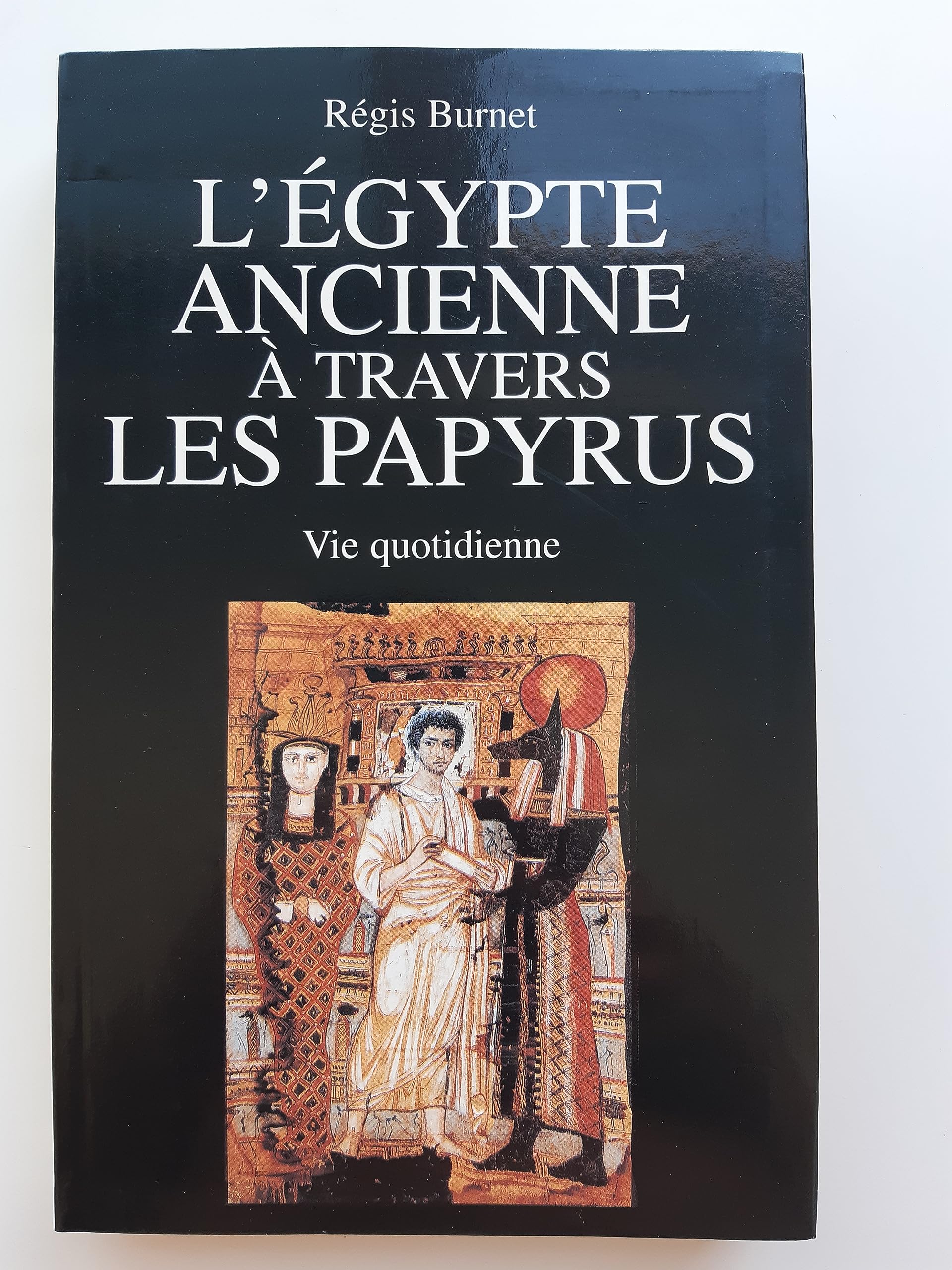 L'Egypte ancienne à travers les Papyrus : Vie quotidienne 9782857048107