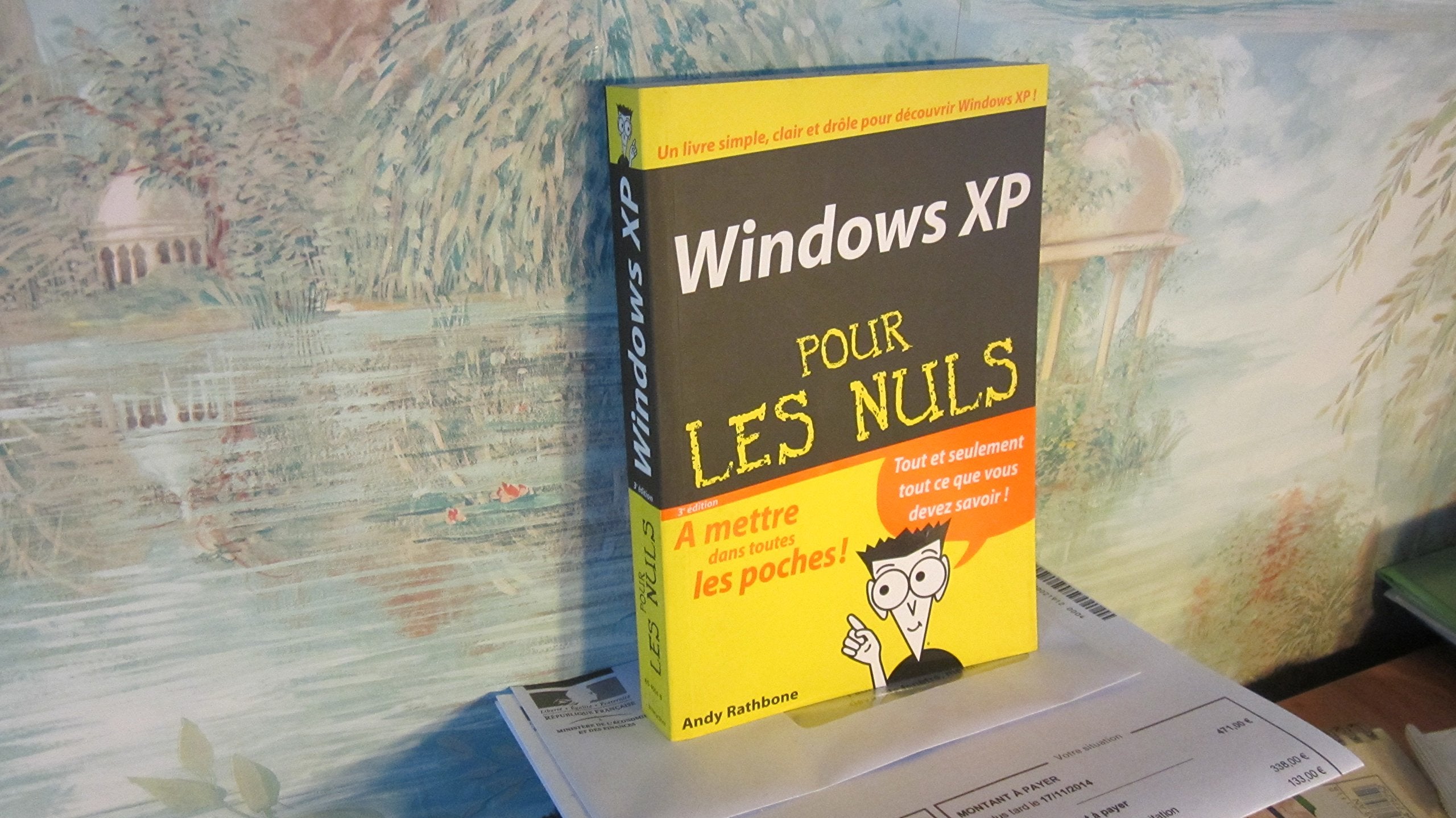 Windows XP poche pour les Nuls 9782844275974