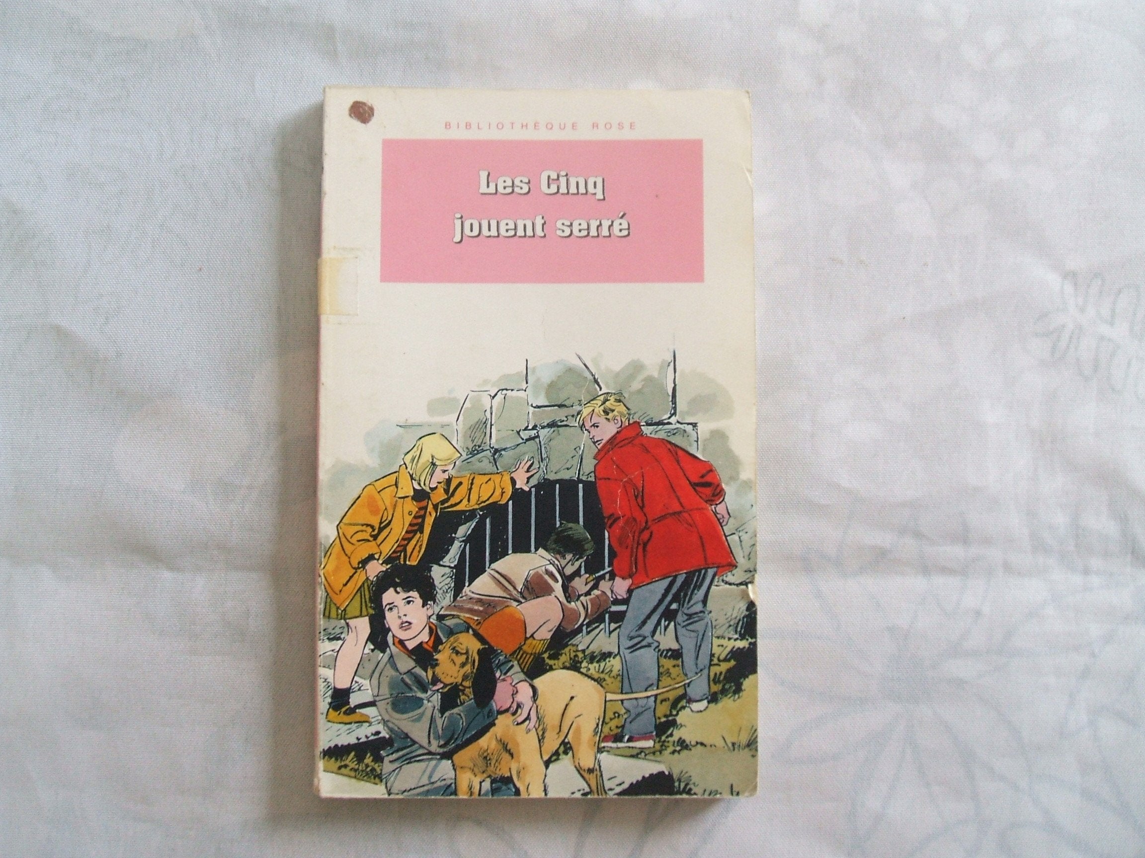 Bibliothèque rose : le Club des cinq : les Cinq jouent serré 9782012093379