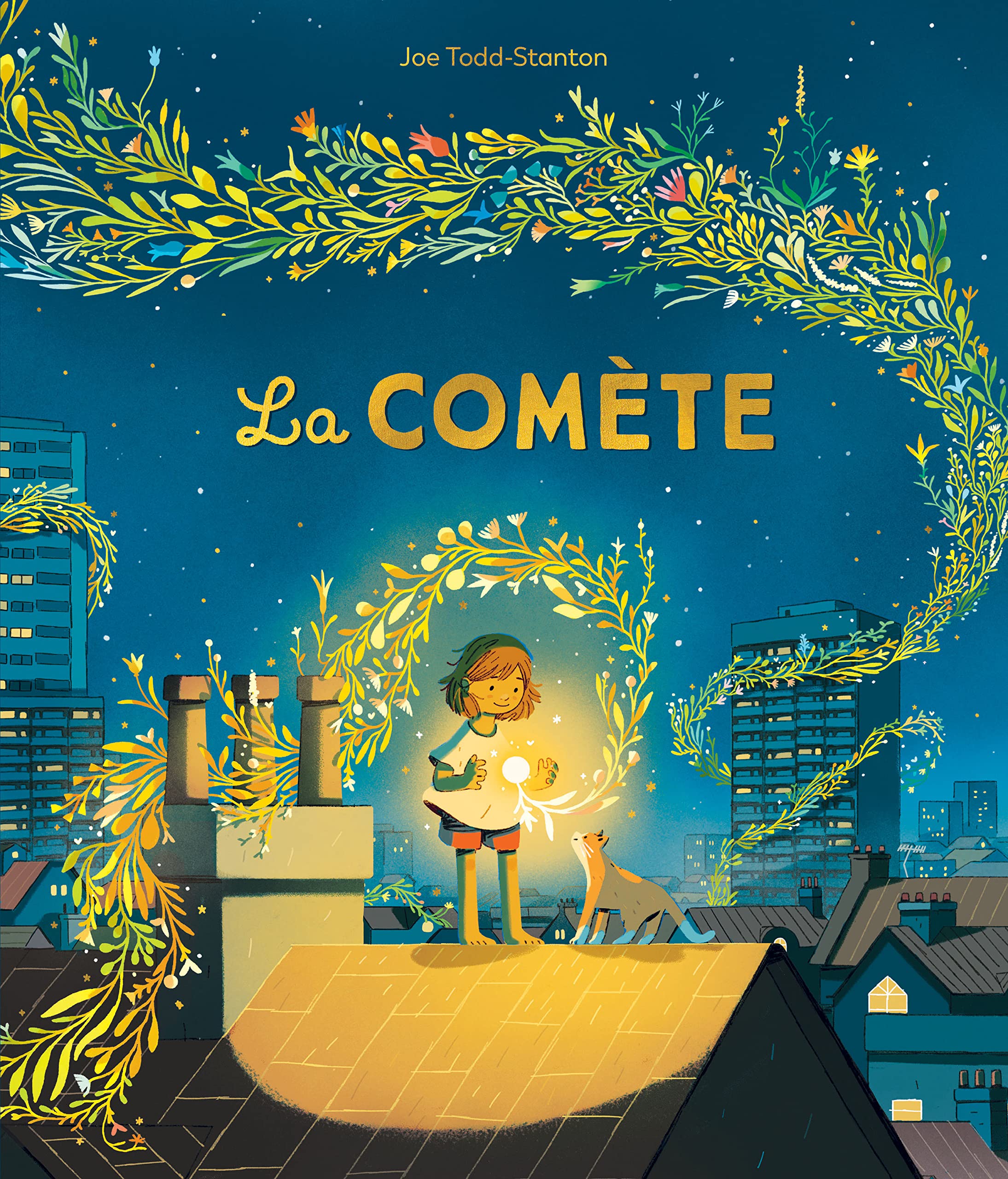 La comète 9782211321099