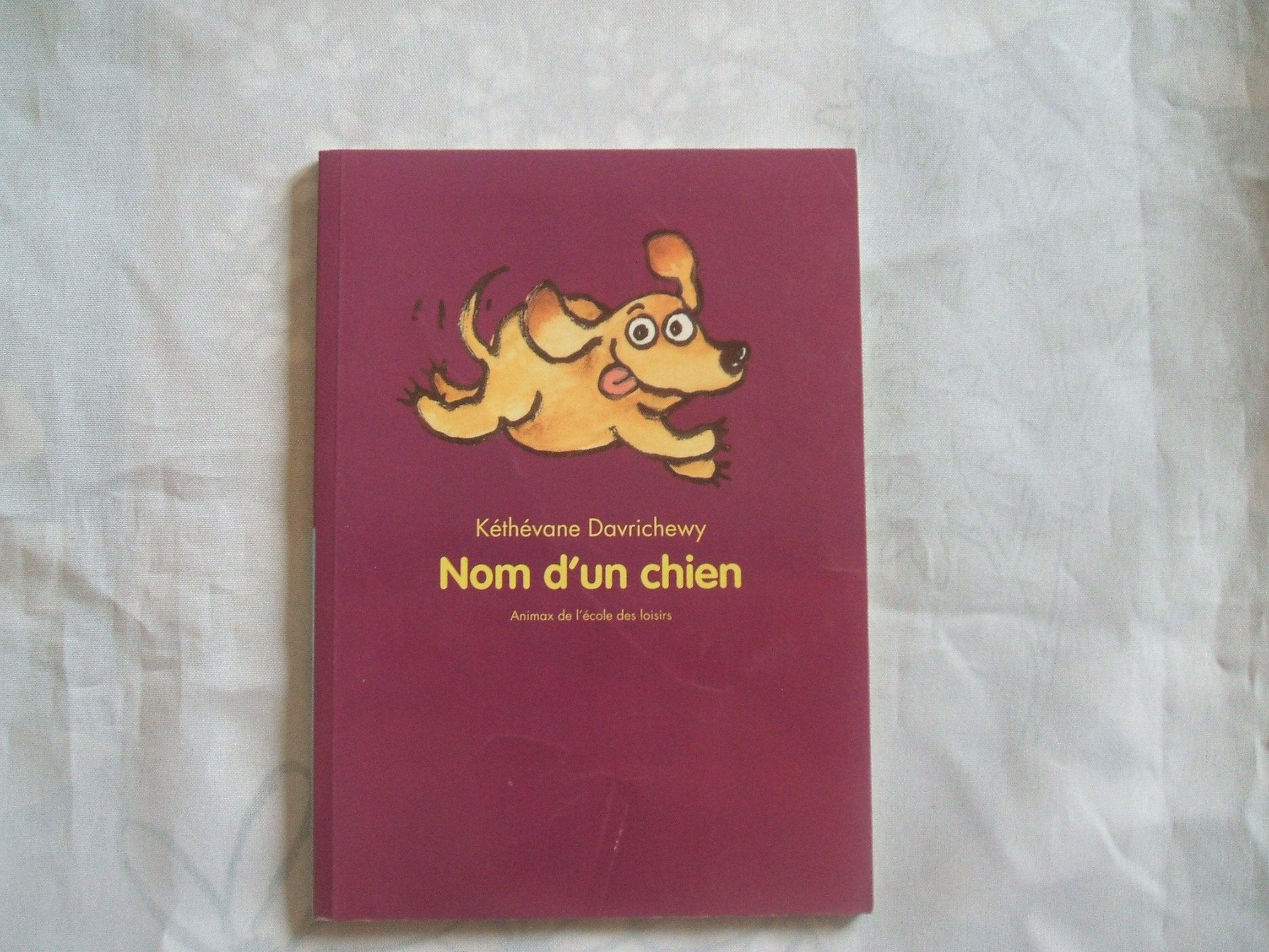 Nom d'un chien 9782211076470