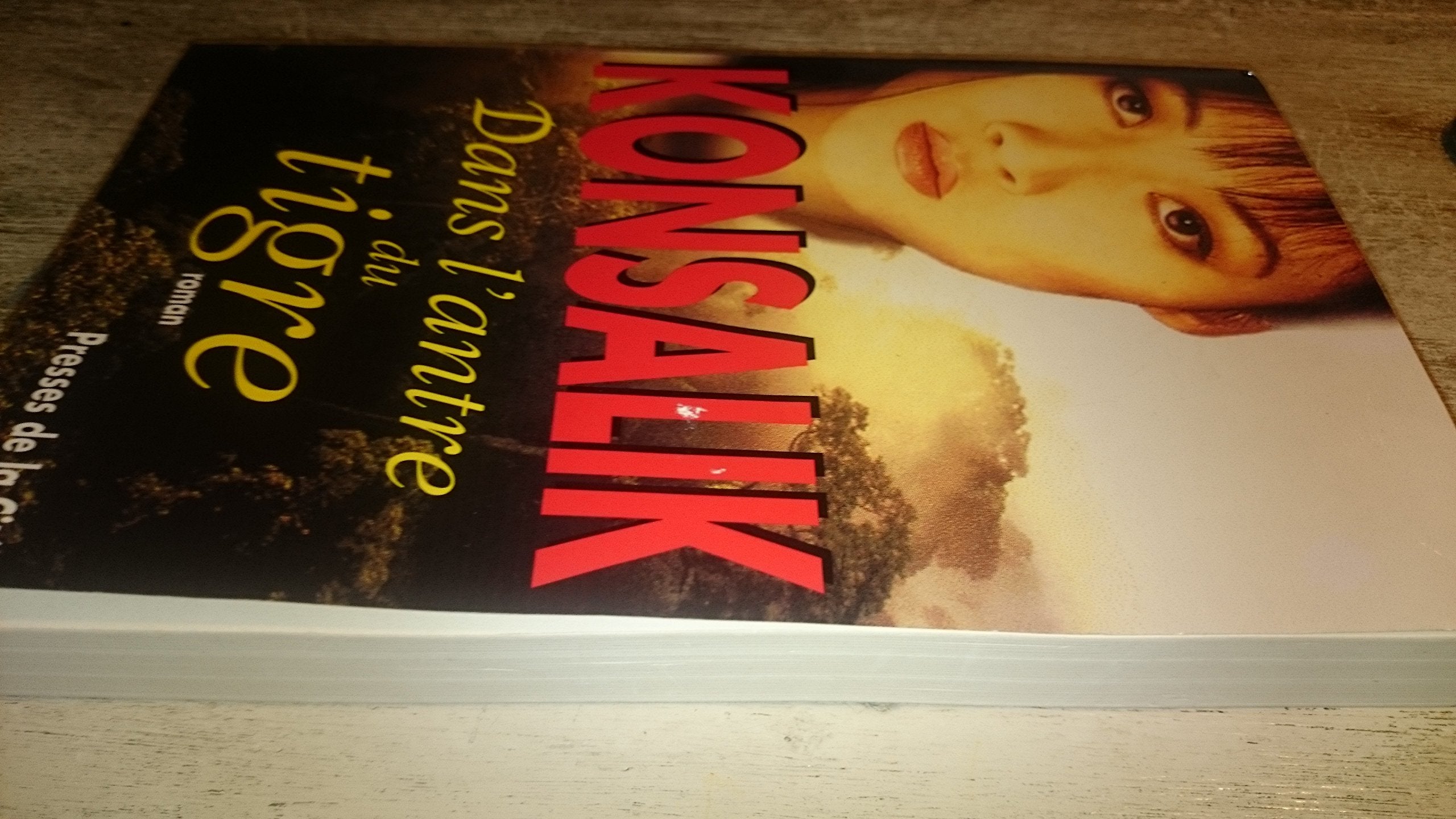 Dans l'antre du tigre 9782258046603