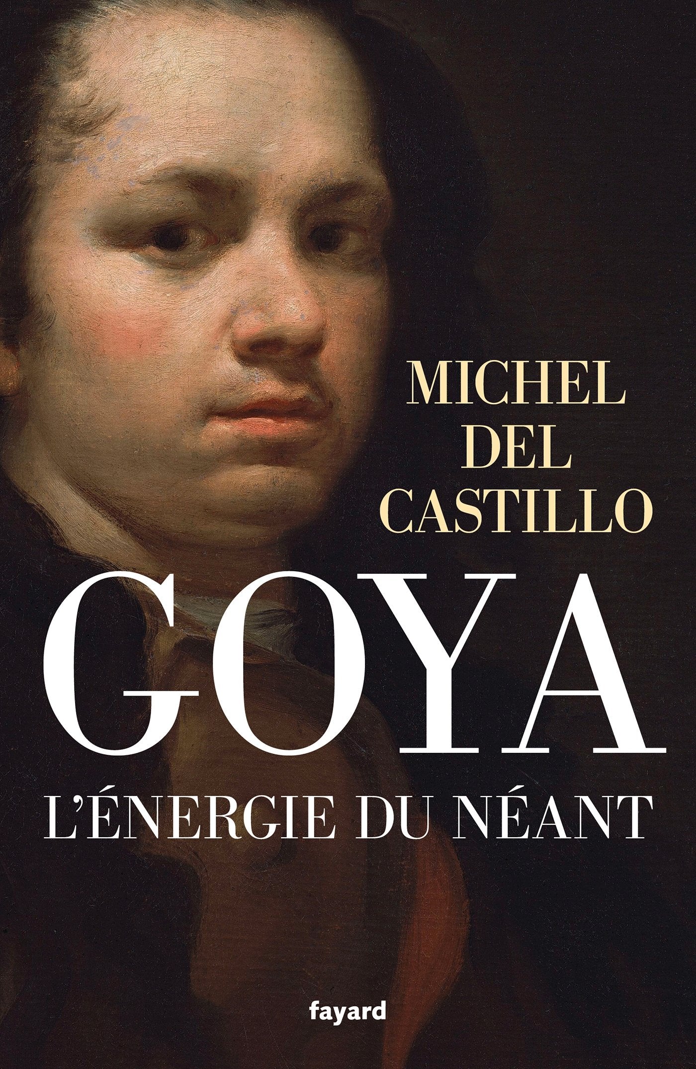 Goya: L'énergie du néant 9782213686950