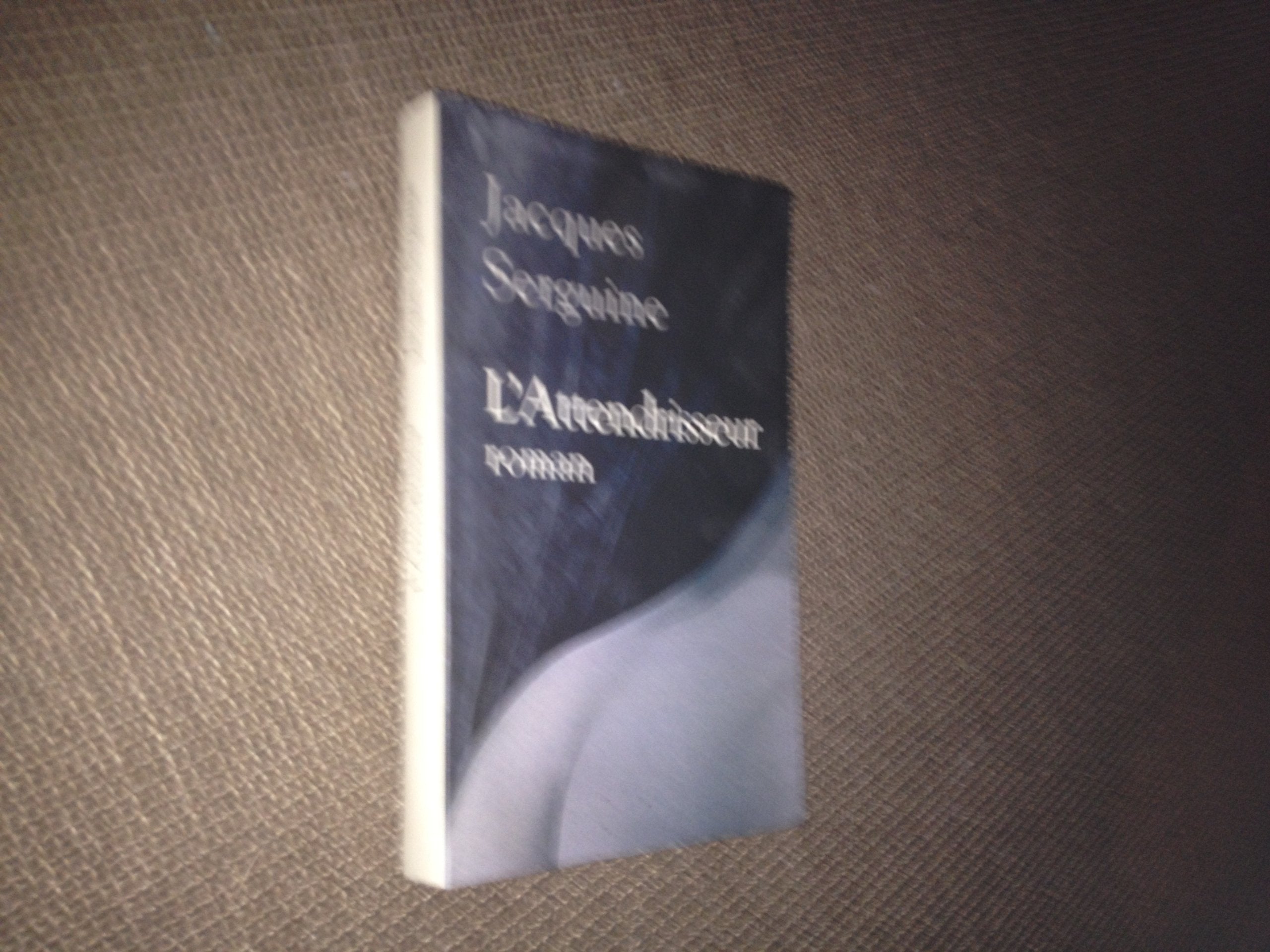 L'attendrisseur 9782286028787