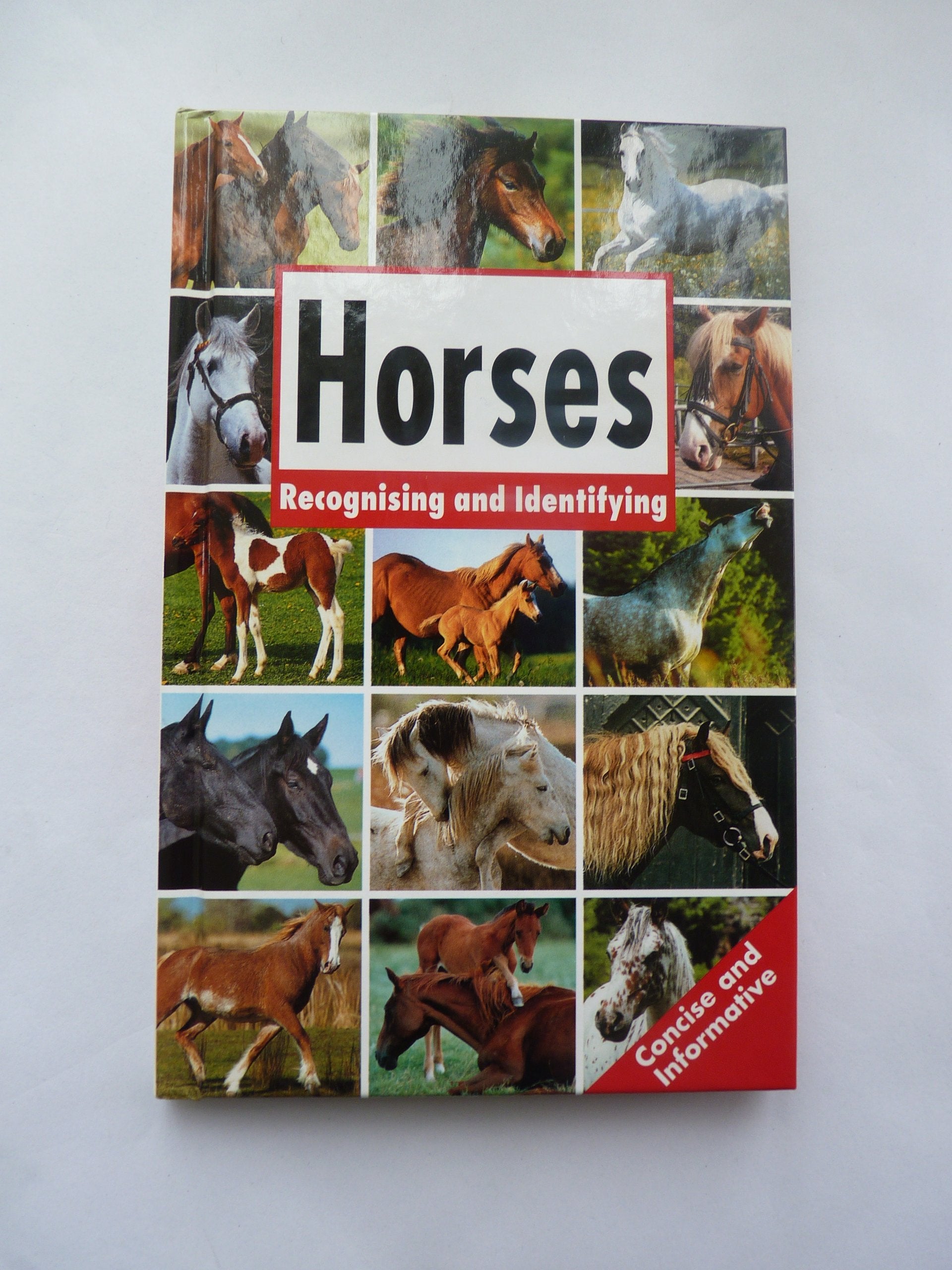 HORSES - Recognising and Identifying 9783625103271